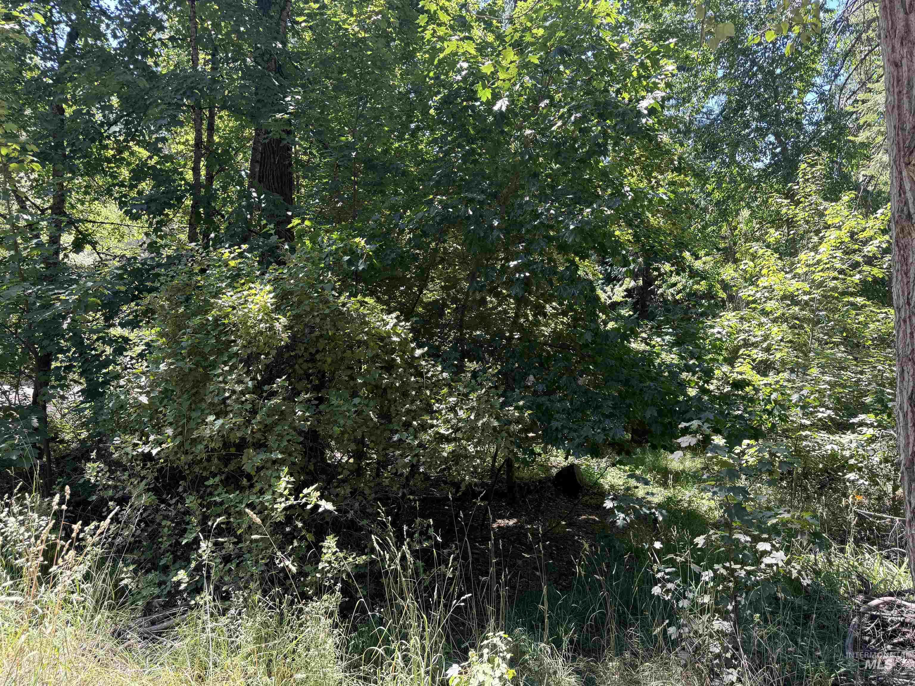 187 Deer Creek Rd Property Photo 10