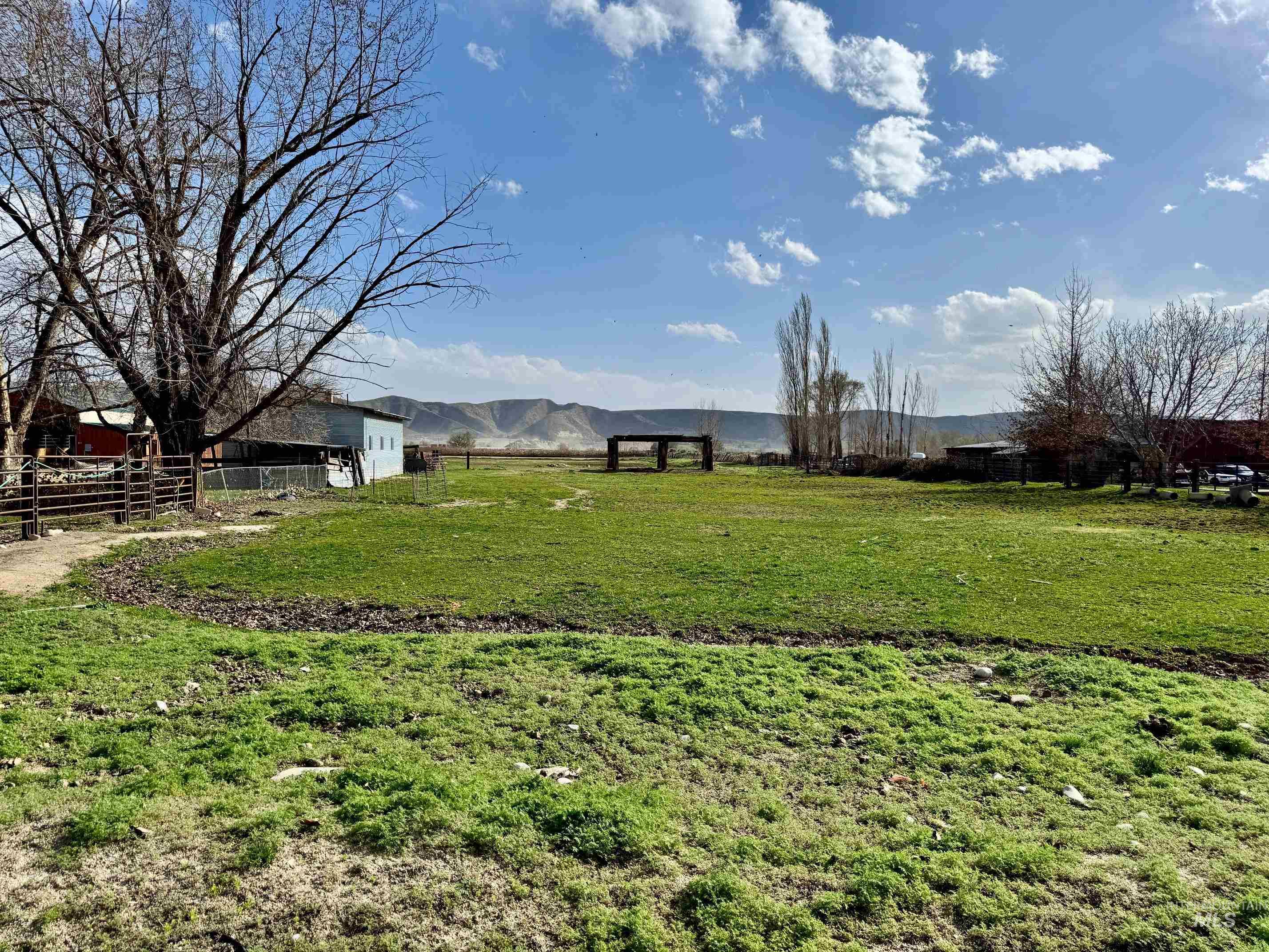 2435 Schiller Rd Property Photo 5