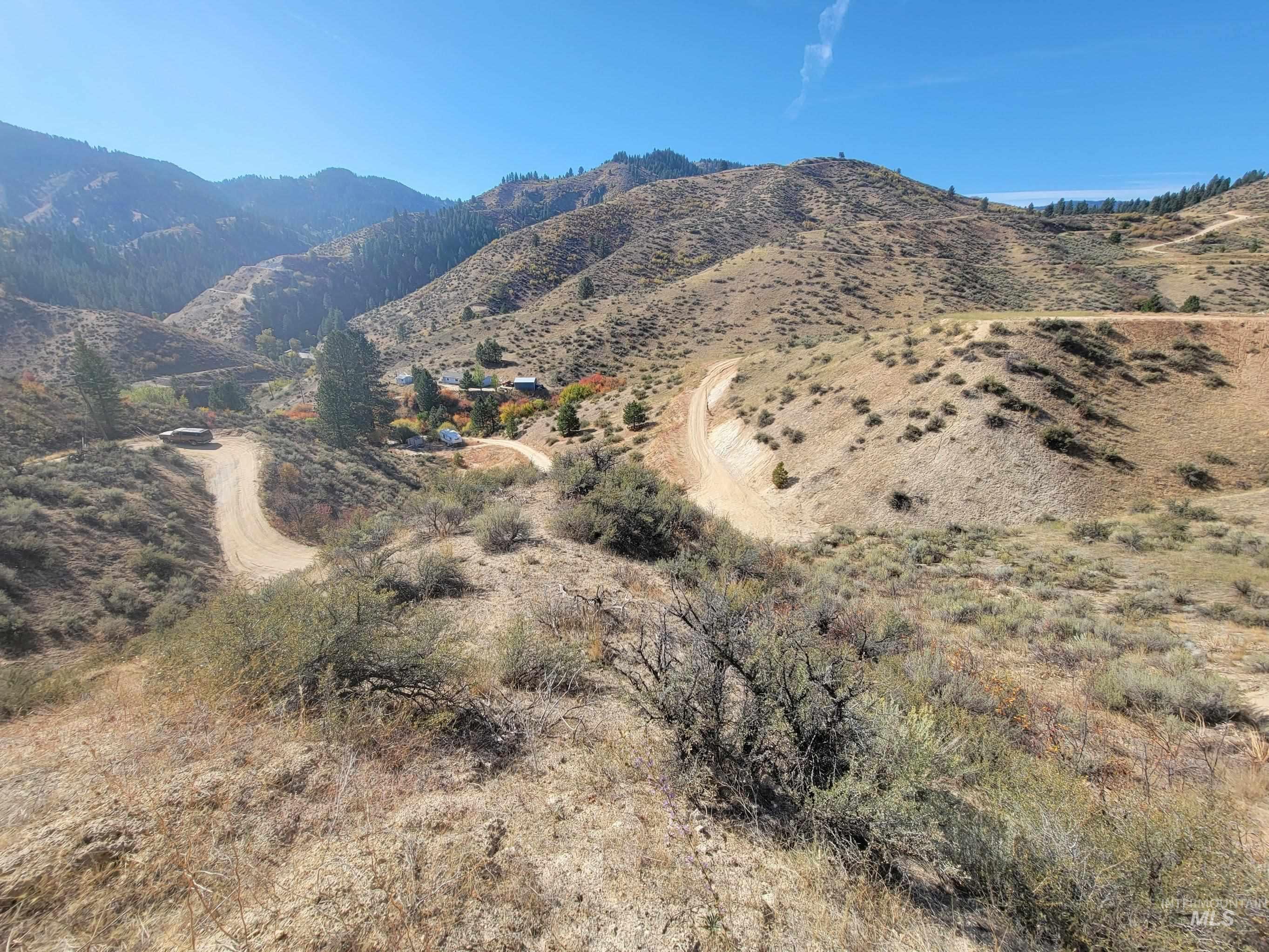 219 Flowing Springs Property Photo 3