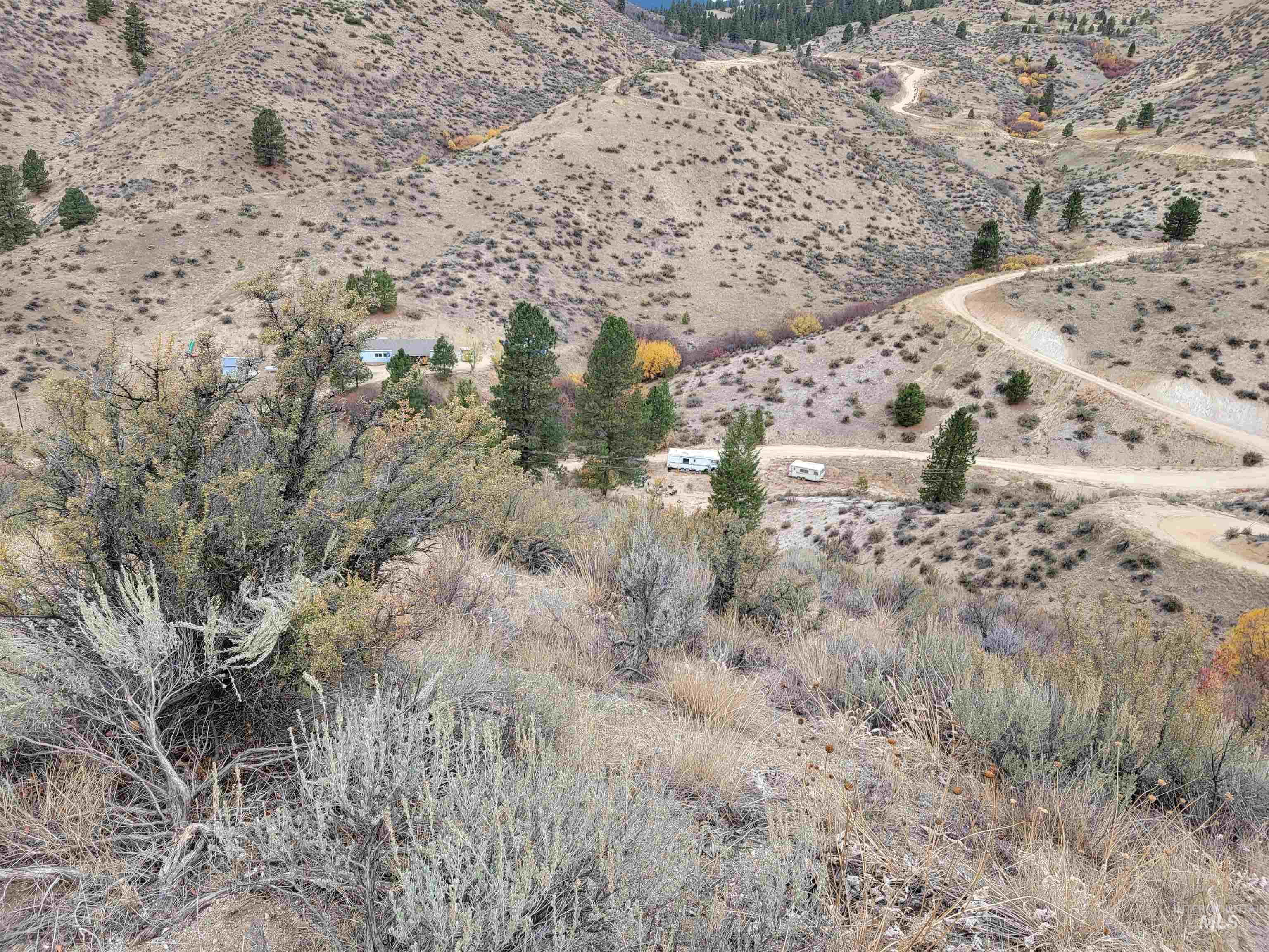 219 Flowing Springs Property Photo 8
