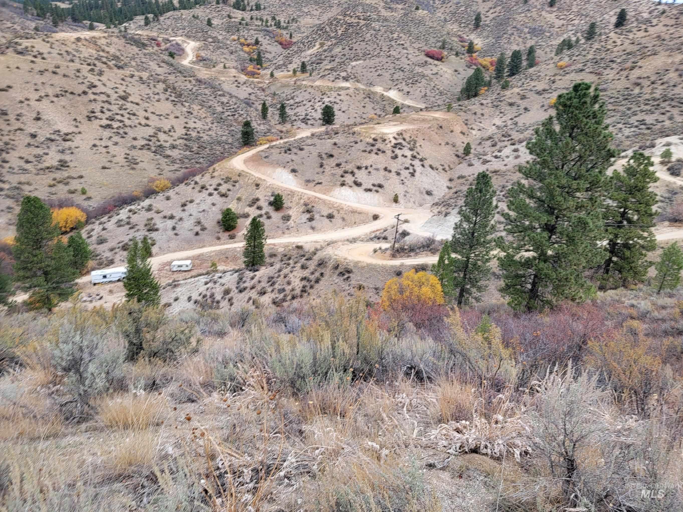 219 Flowing Springs Property Photo 9