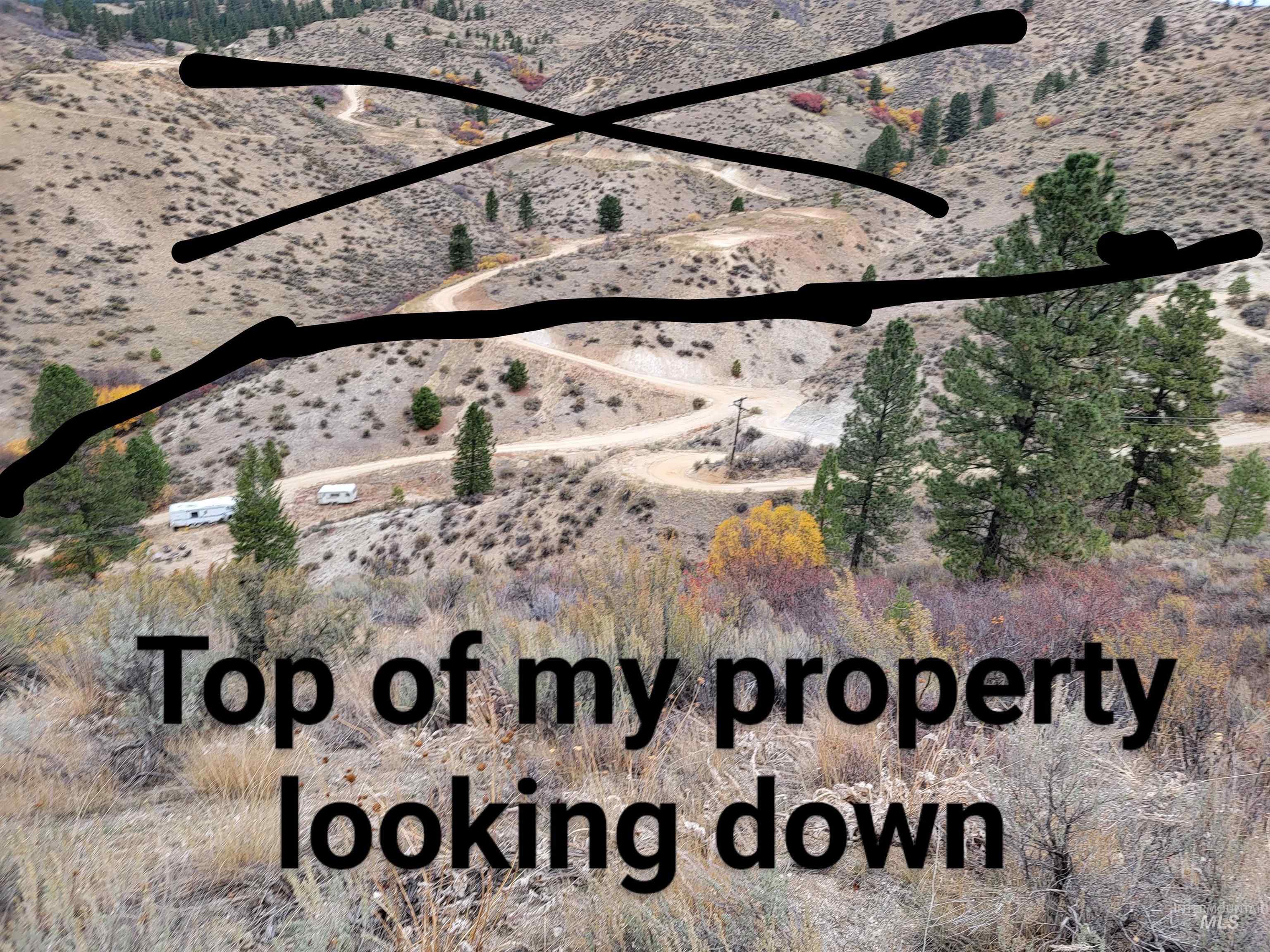 219 Flowing Springs Property Photo 10