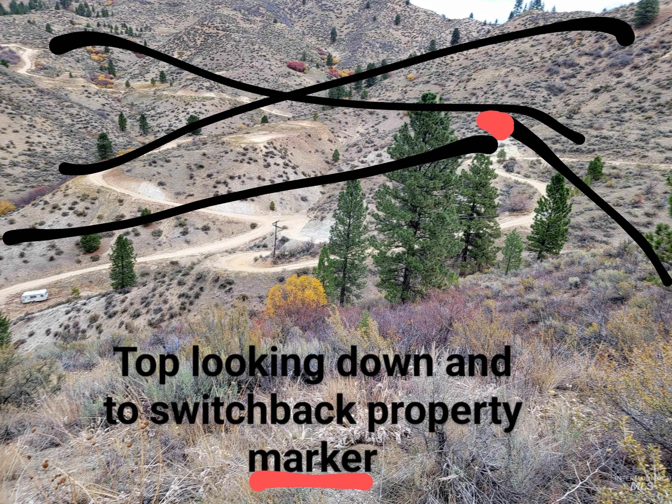 219 Flowing Springs Property Photo 12