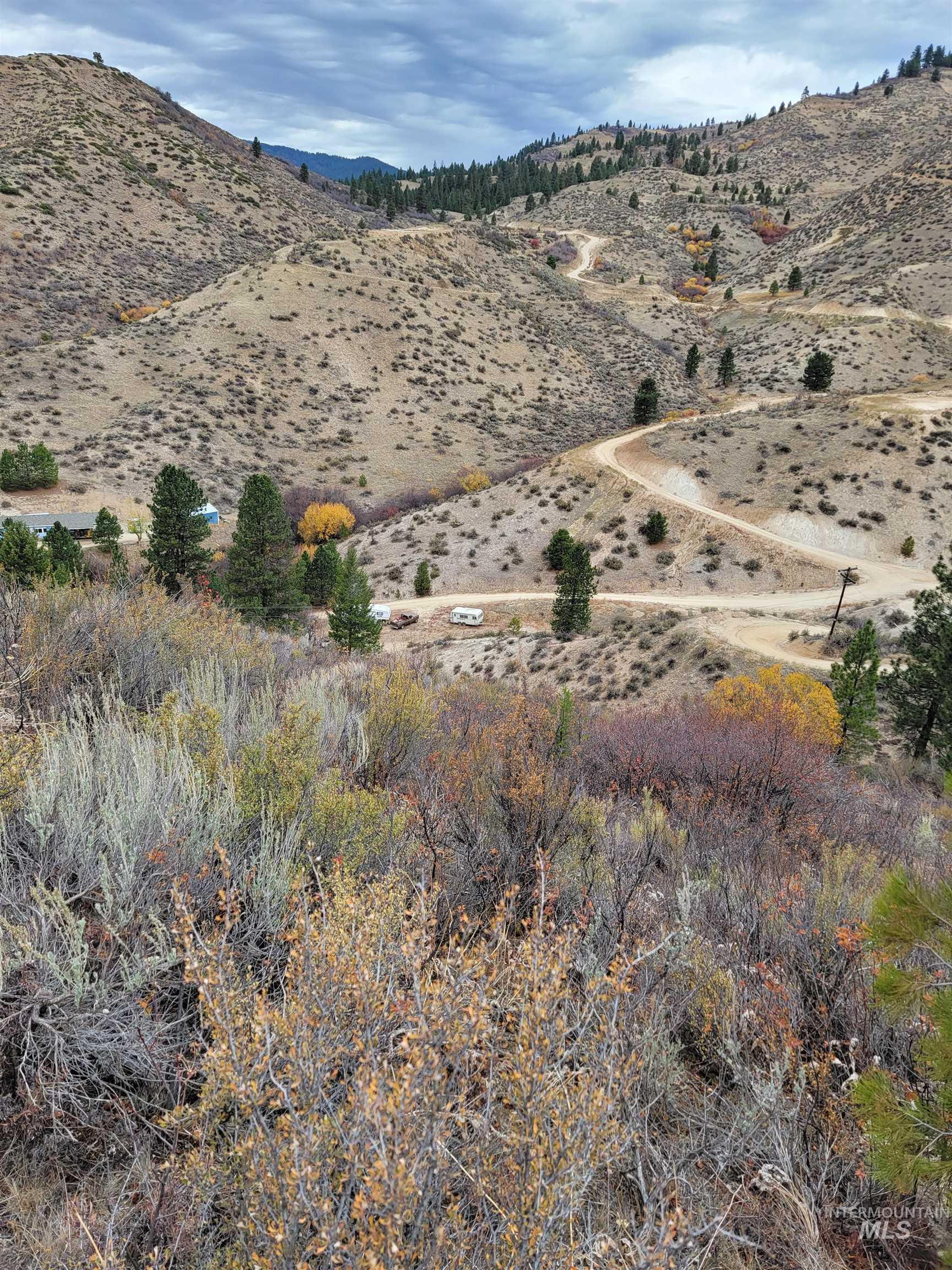 219 Flowing Springs Property Photo 17