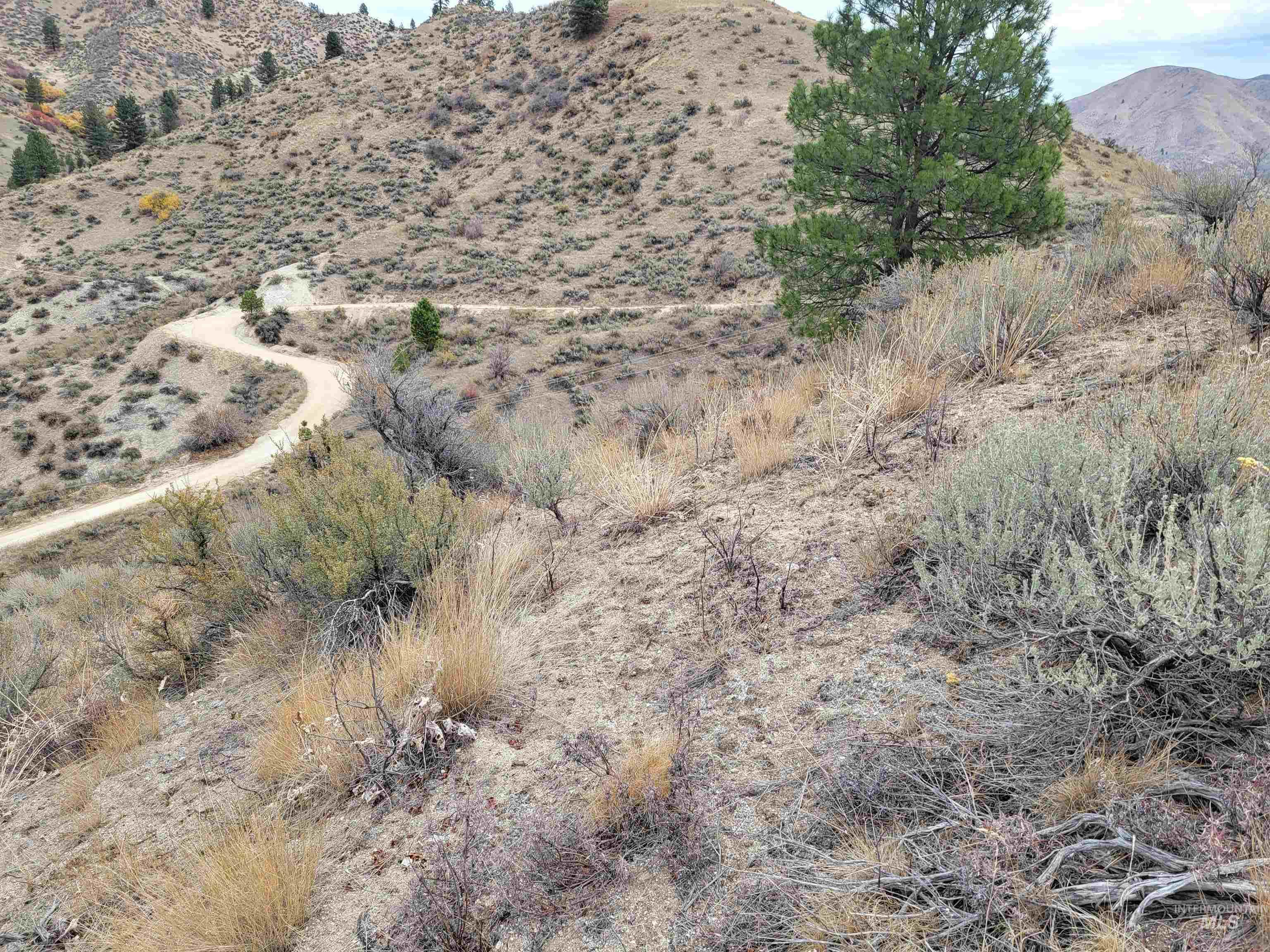 219 Flowing Springs Property Photo 19
