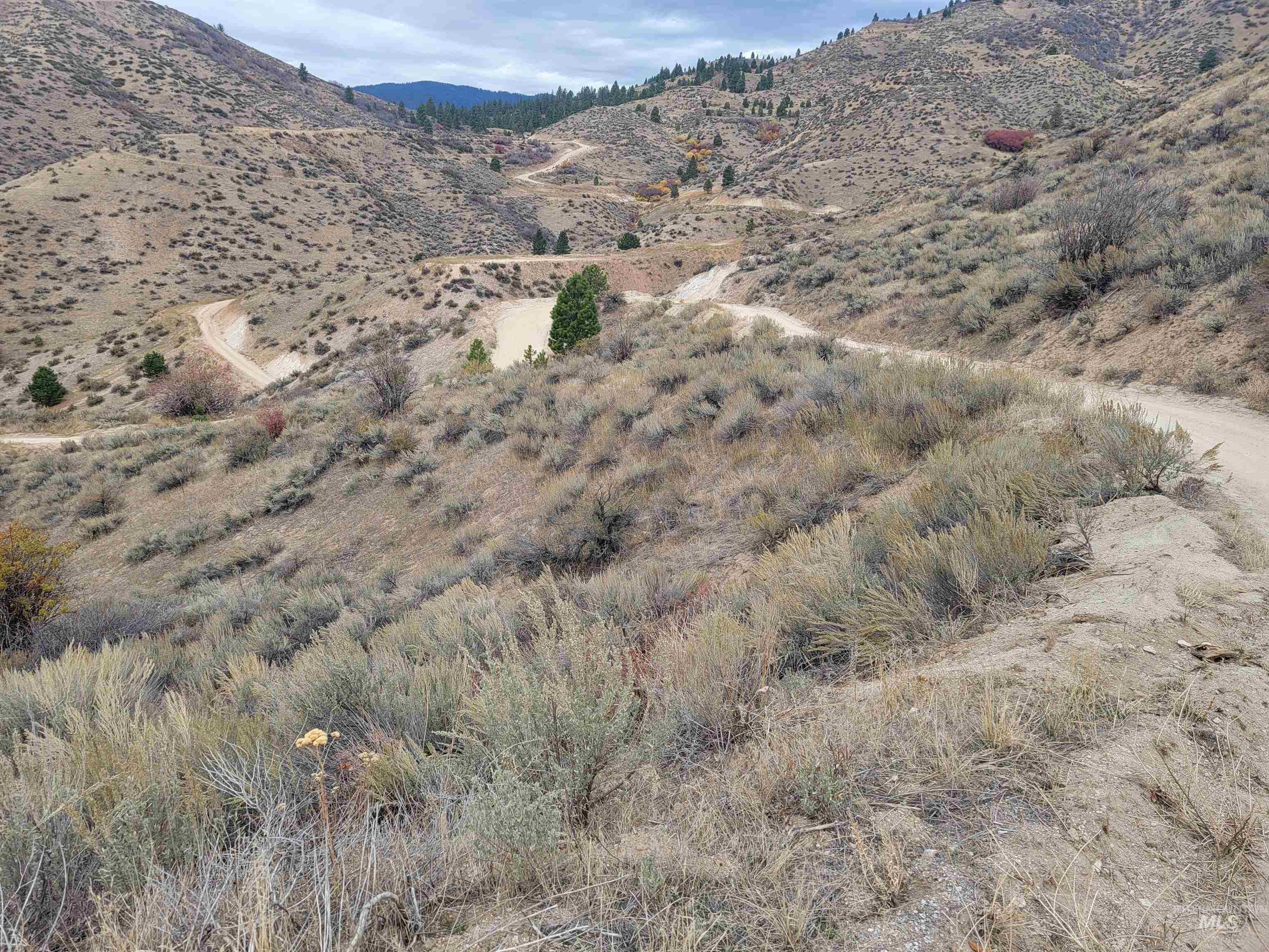 219 Flowing Springs Property Photo 20