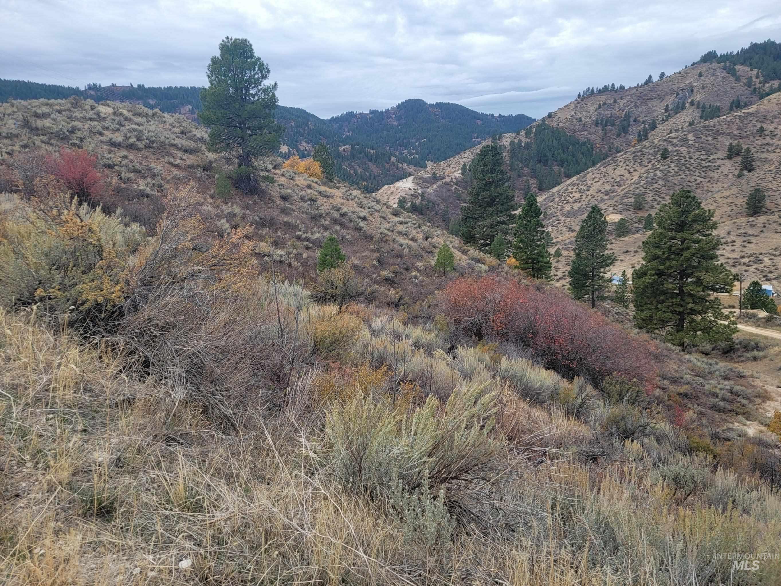 219 Flowing Springs Property Photo 22