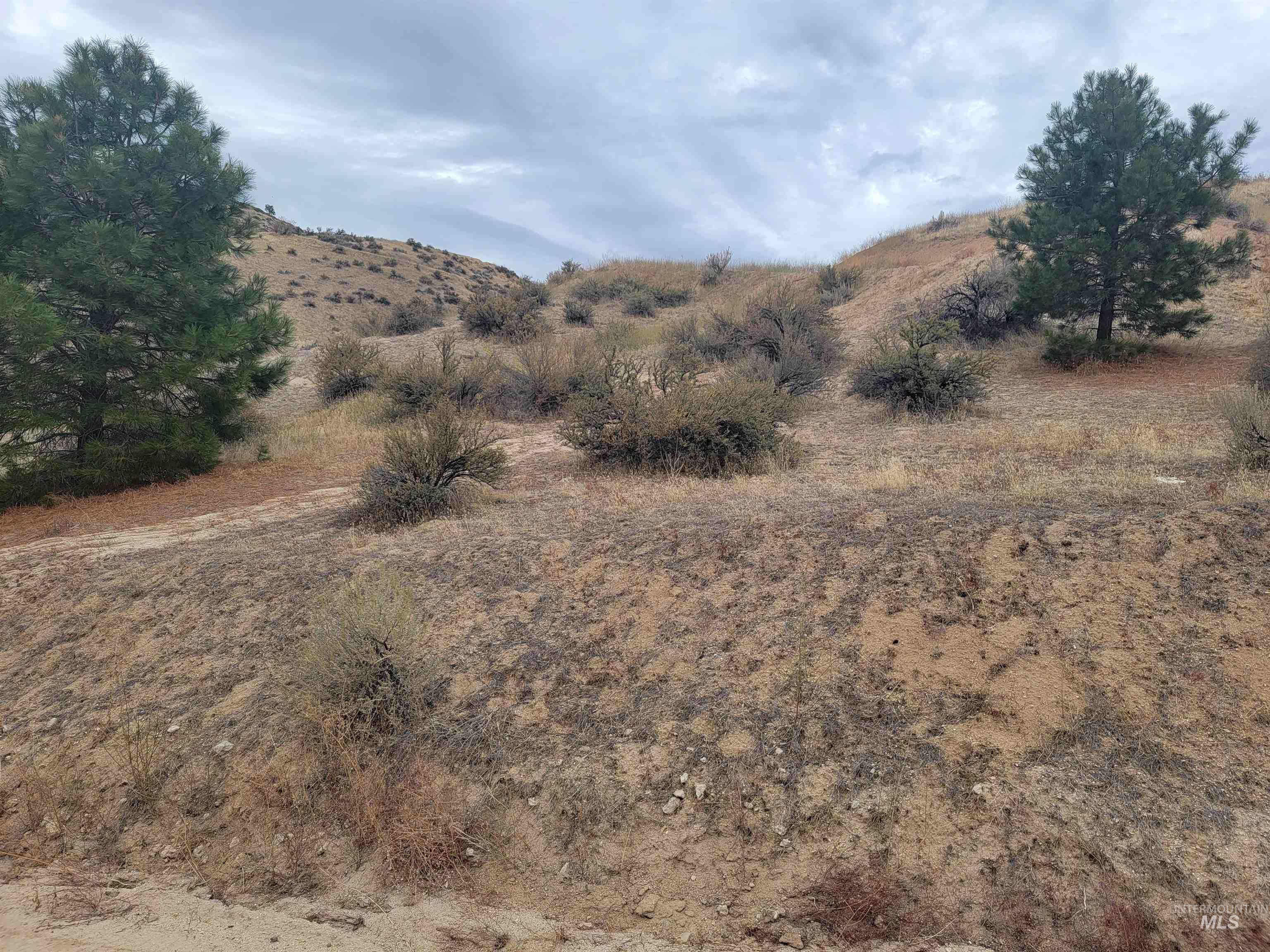 219 Flowing Springs Property Photo 25
