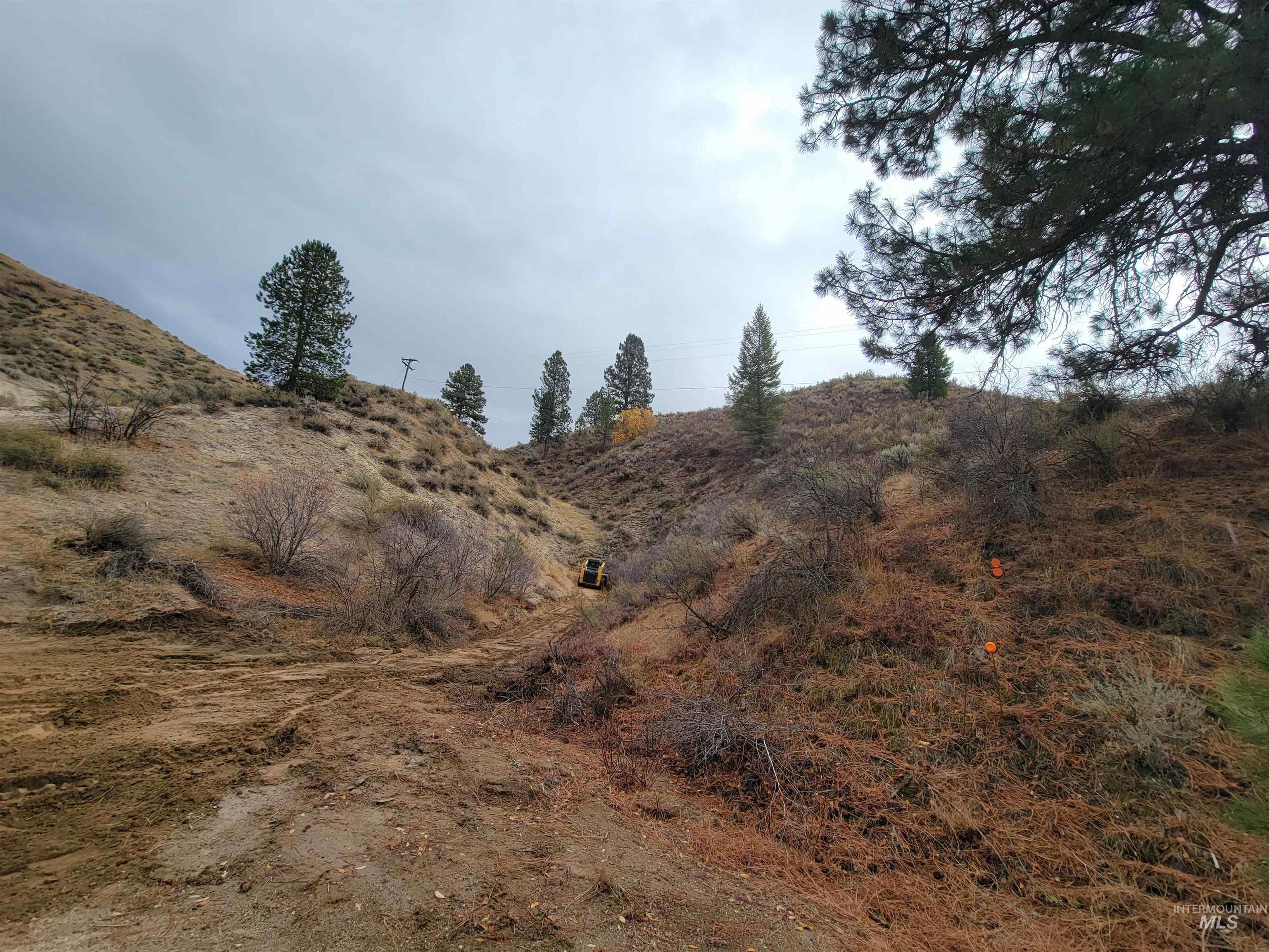 219 Flowing Springs Property Photo 32