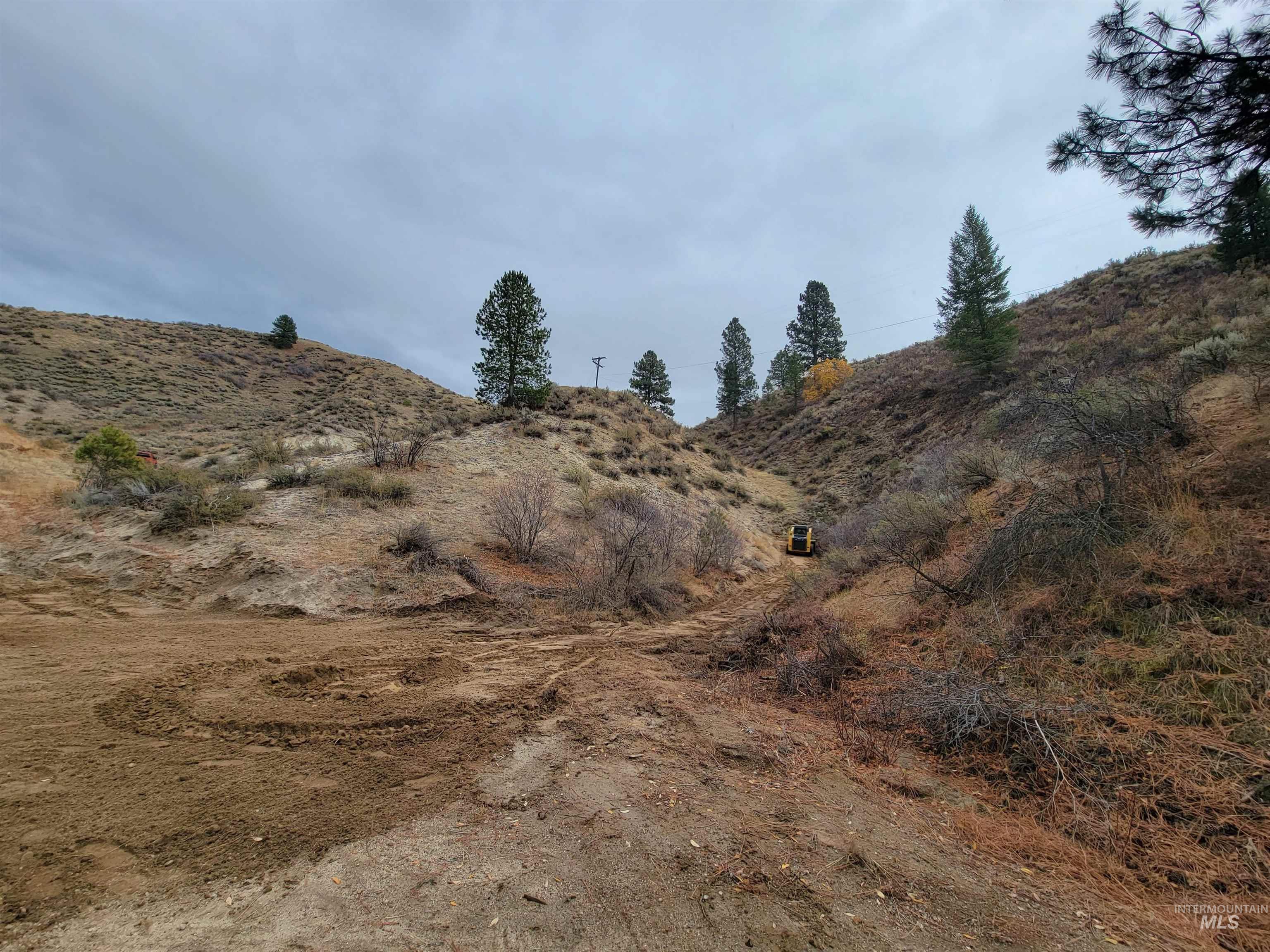 219 Flowing Springs Property Photo 33