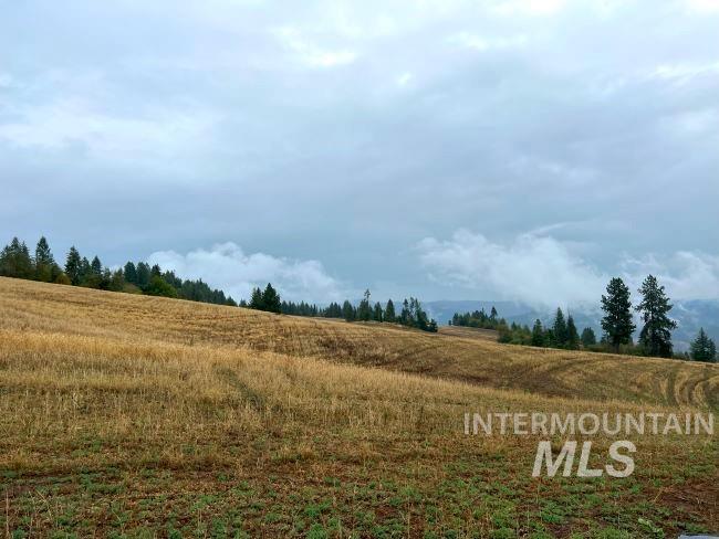 Nka 618acs Freeman Creek Rd Property Photo 12