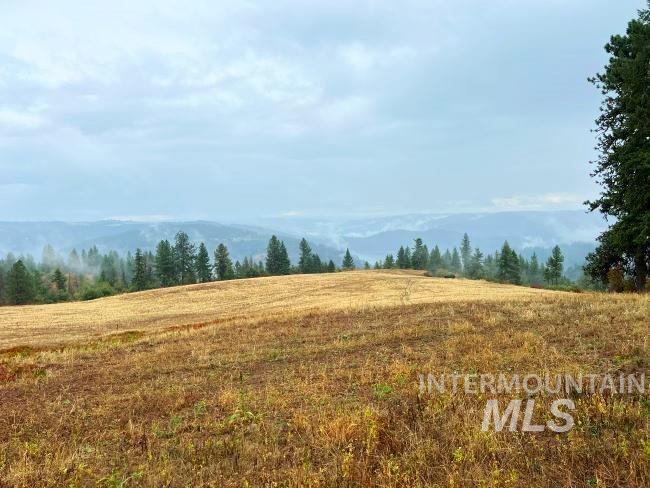 Nka 618acs Freeman Creek Rd Property Photo 15