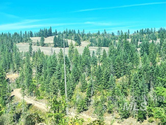Nka 618acs Freeman Creek Rd Property Photo 26