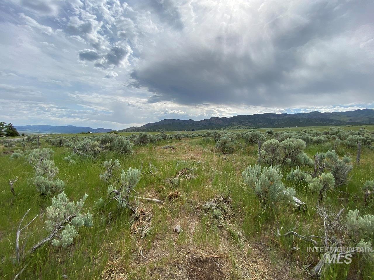 1977 S Elba Almo Road Property Photo 3