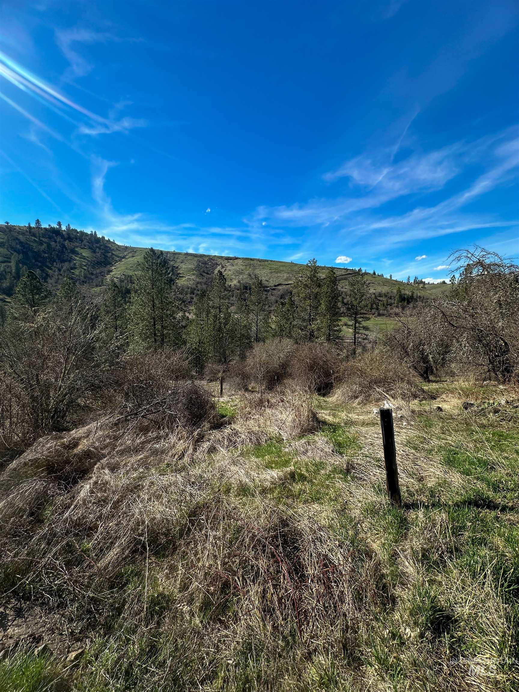 4044 Highway 13 Property Photo 34