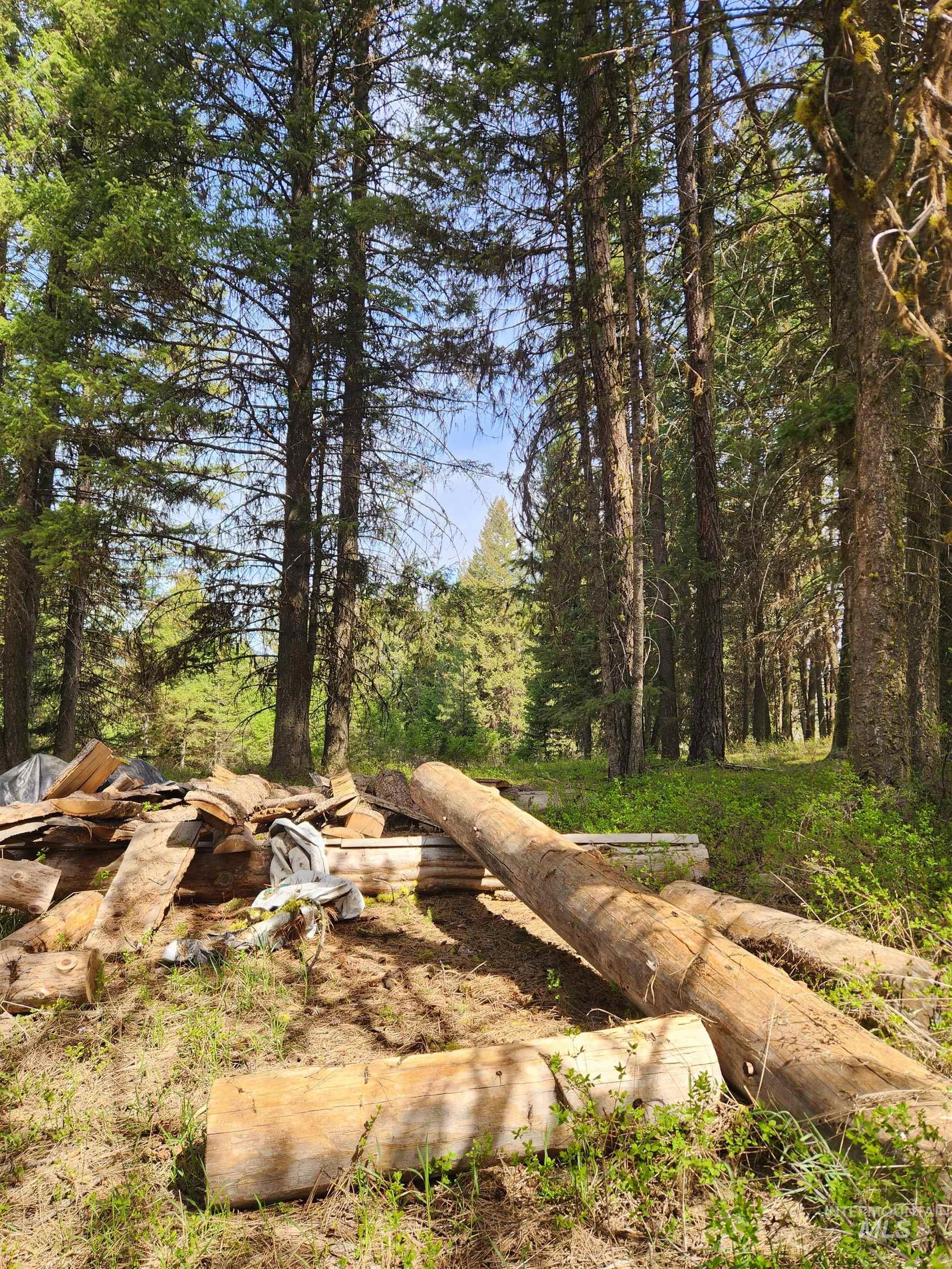Tba Buckcamp Ln (lot 28) Property Photo 2