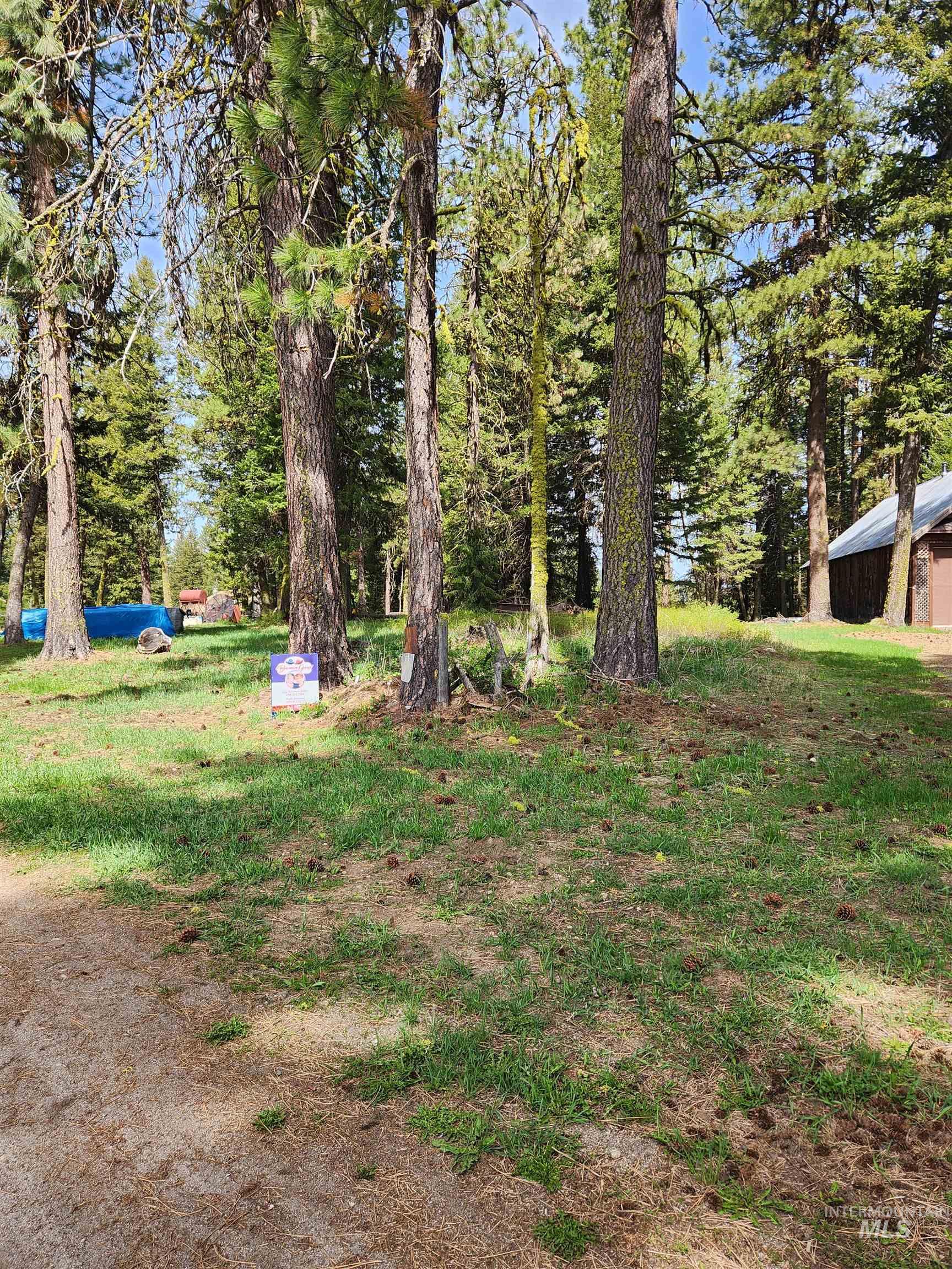 Tba Buckcamp Ln (lot 28) Property Photo 7