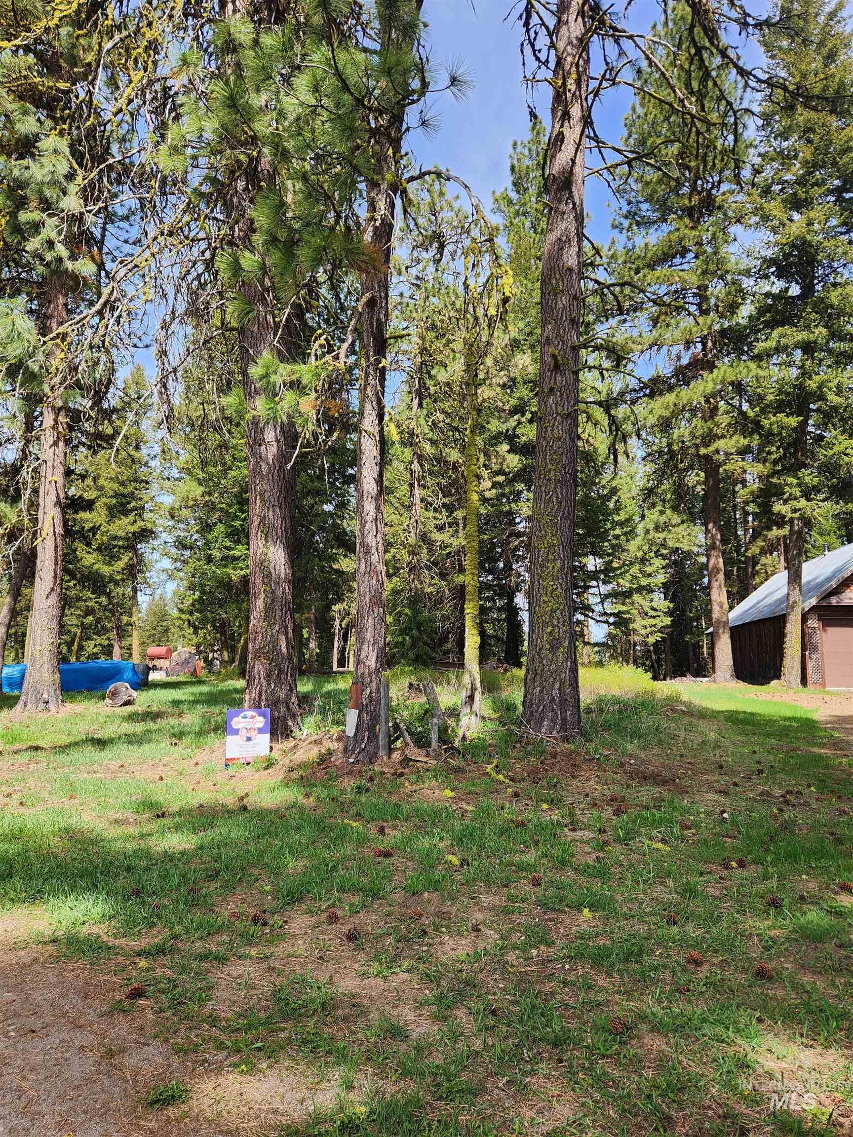 Tba Buckcamp Ln (lot 28) Property Photo 8