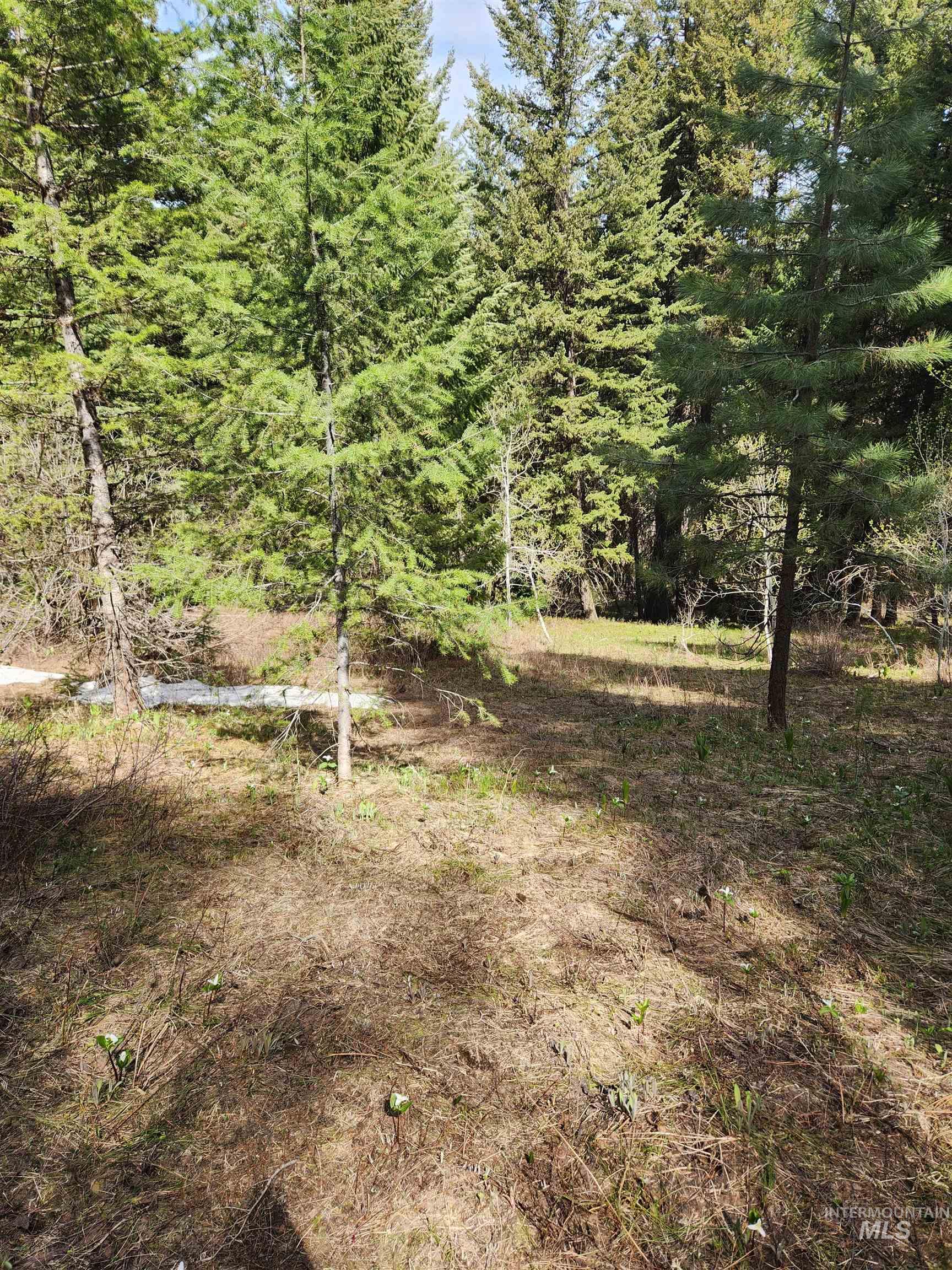 Tba Buckcamp Ln (lot 28) Property Photo 9
