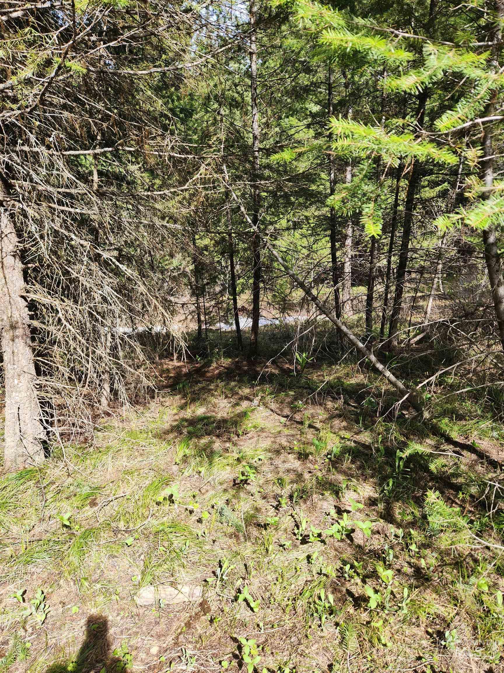 Tba Buckcamp Ln (lot 28) Property Photo 10