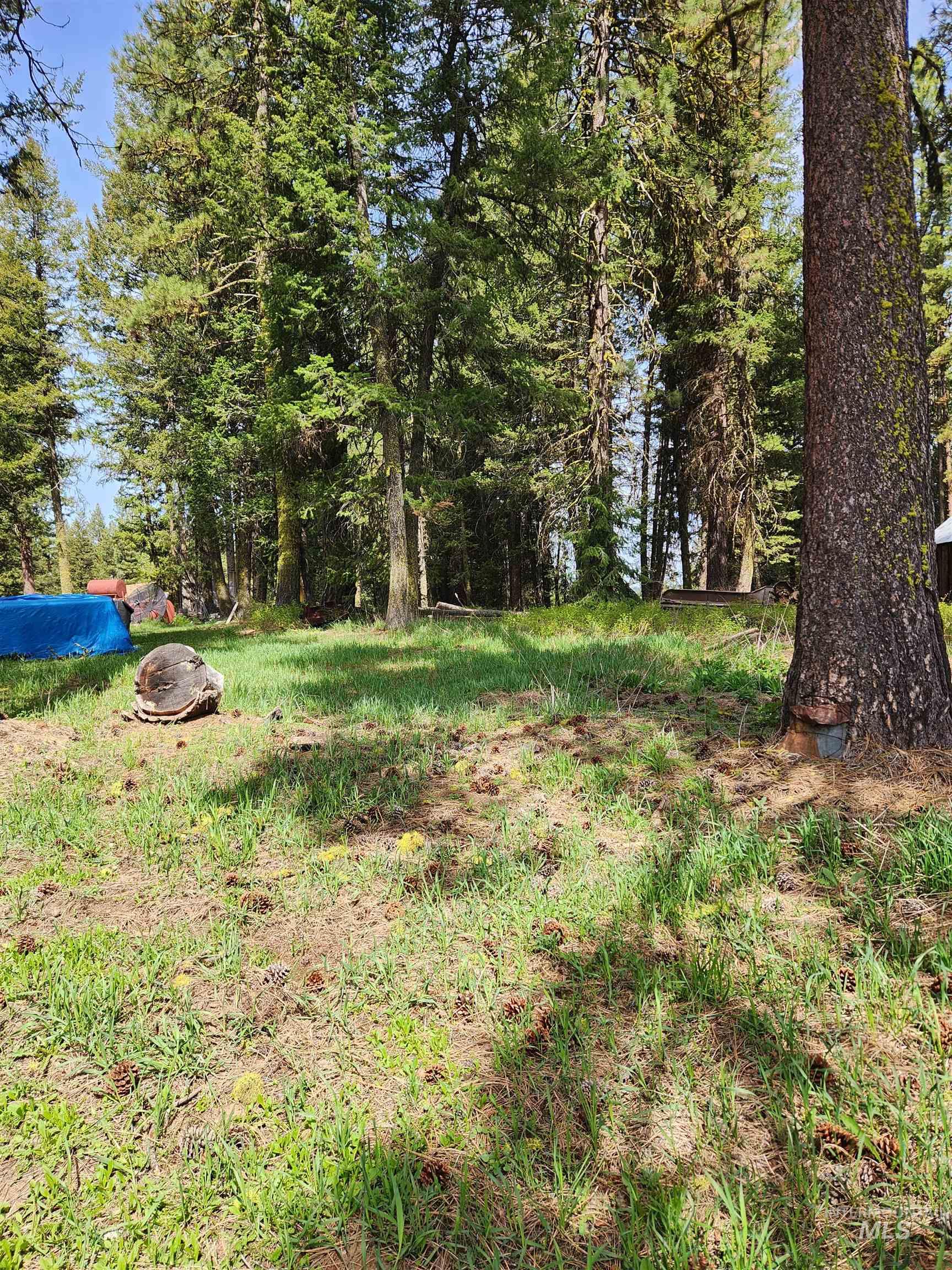 Tba Buckcamp Ln (lot 28) Property Photo 14