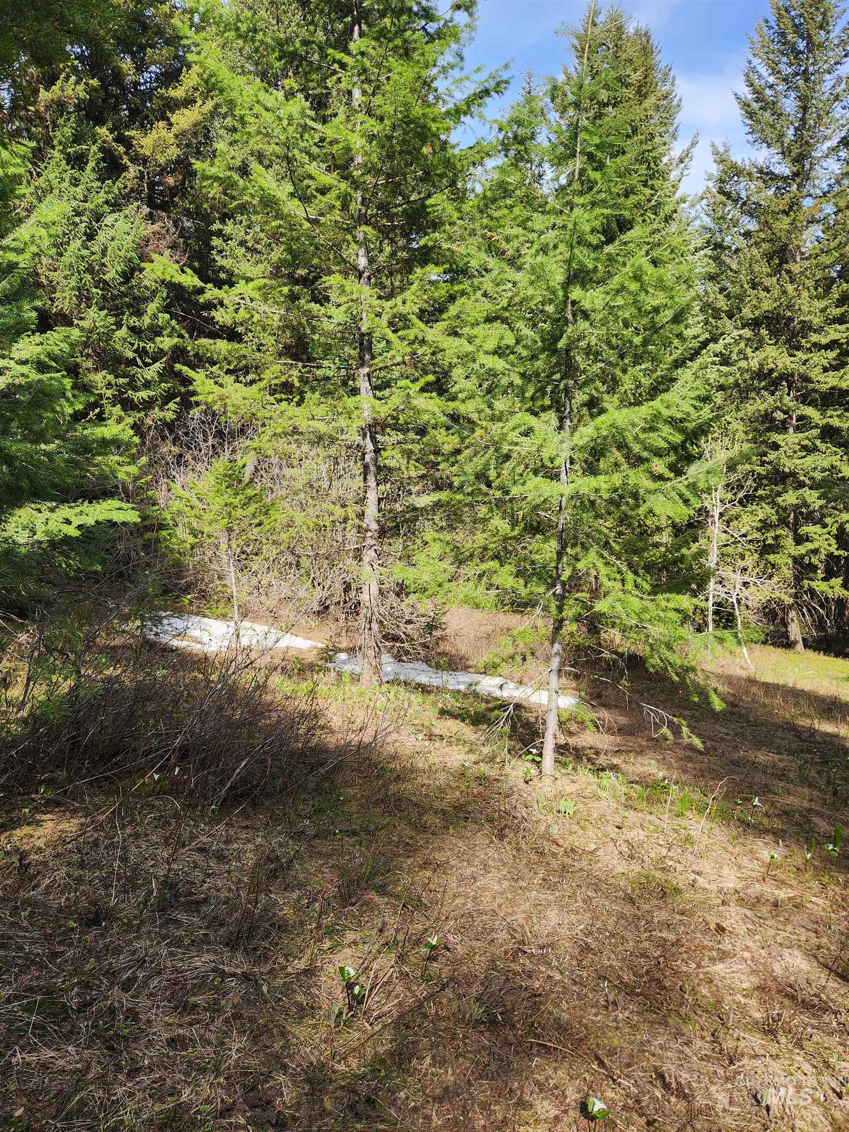 Tba Buckcamp Ln (lot 28) Property Photo 16