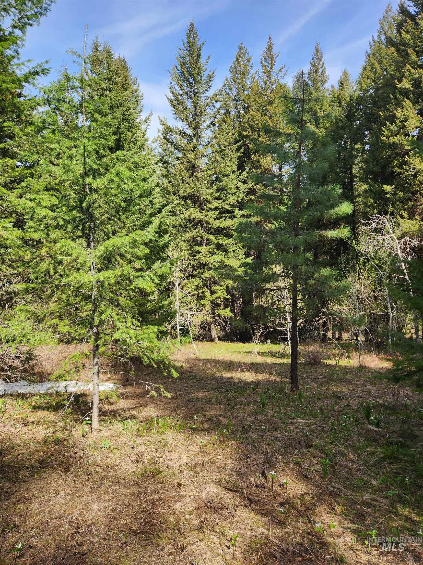 Tba Buckcamp Ln (lot 28) Property Photo 17