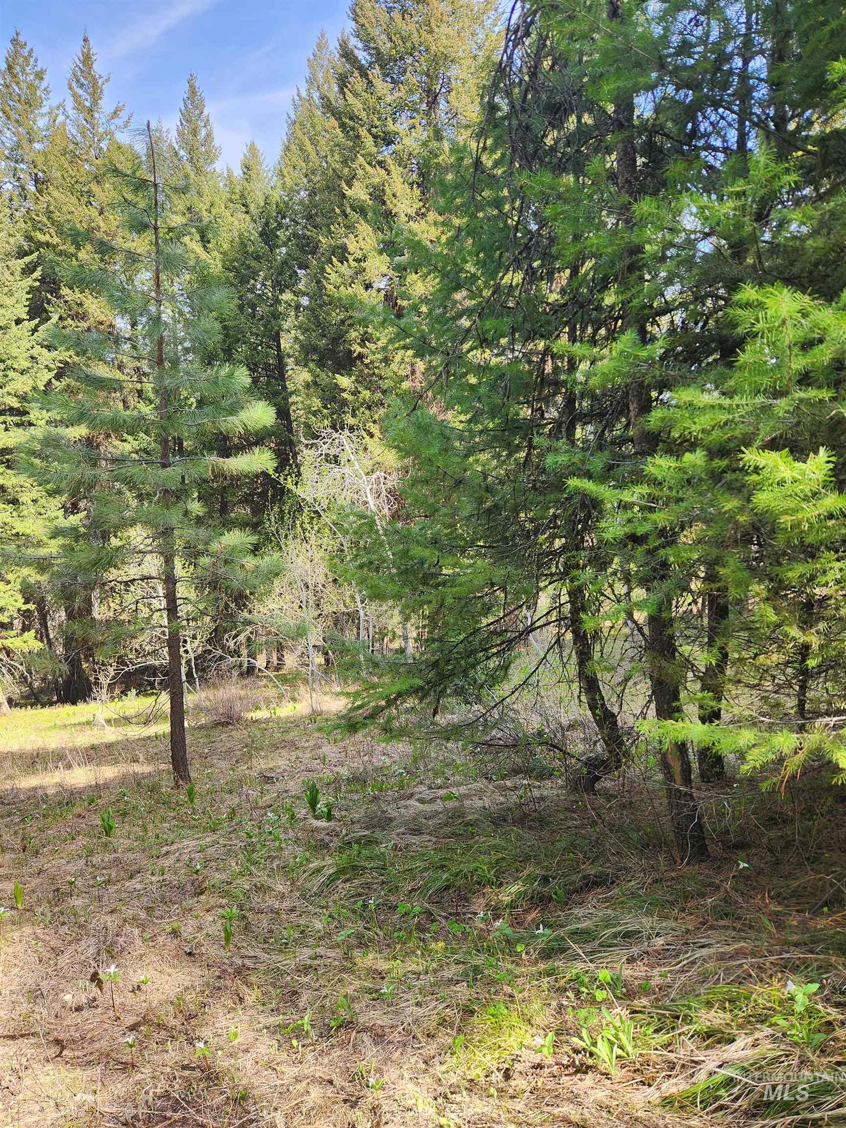 Tba Buckcamp Ln (lot 28) Property Photo 18