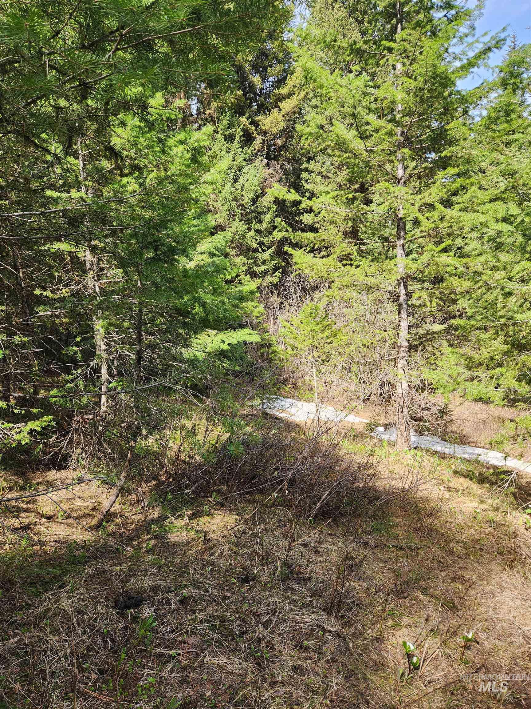 Tba Buckcamp Ln (lot 28) Property Photo 19