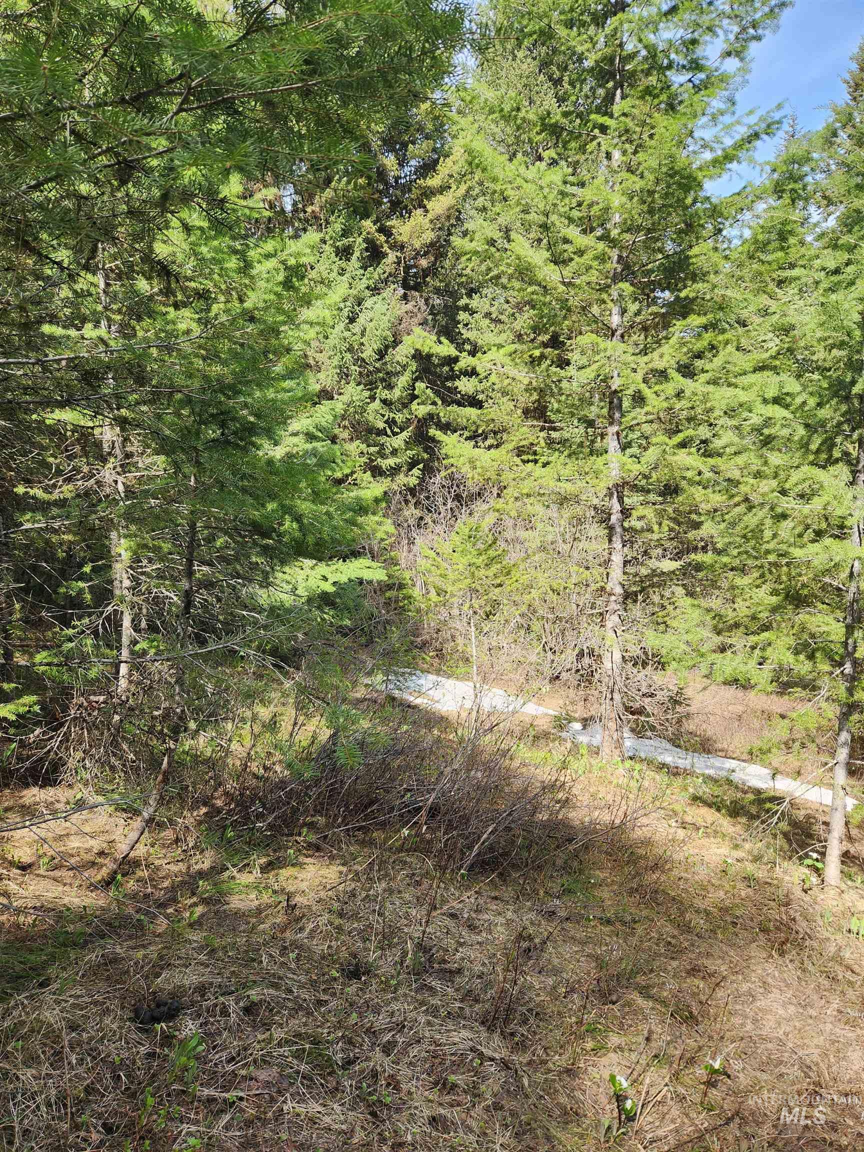Tba Buckcamp Ln (lot 28) Property Photo 20