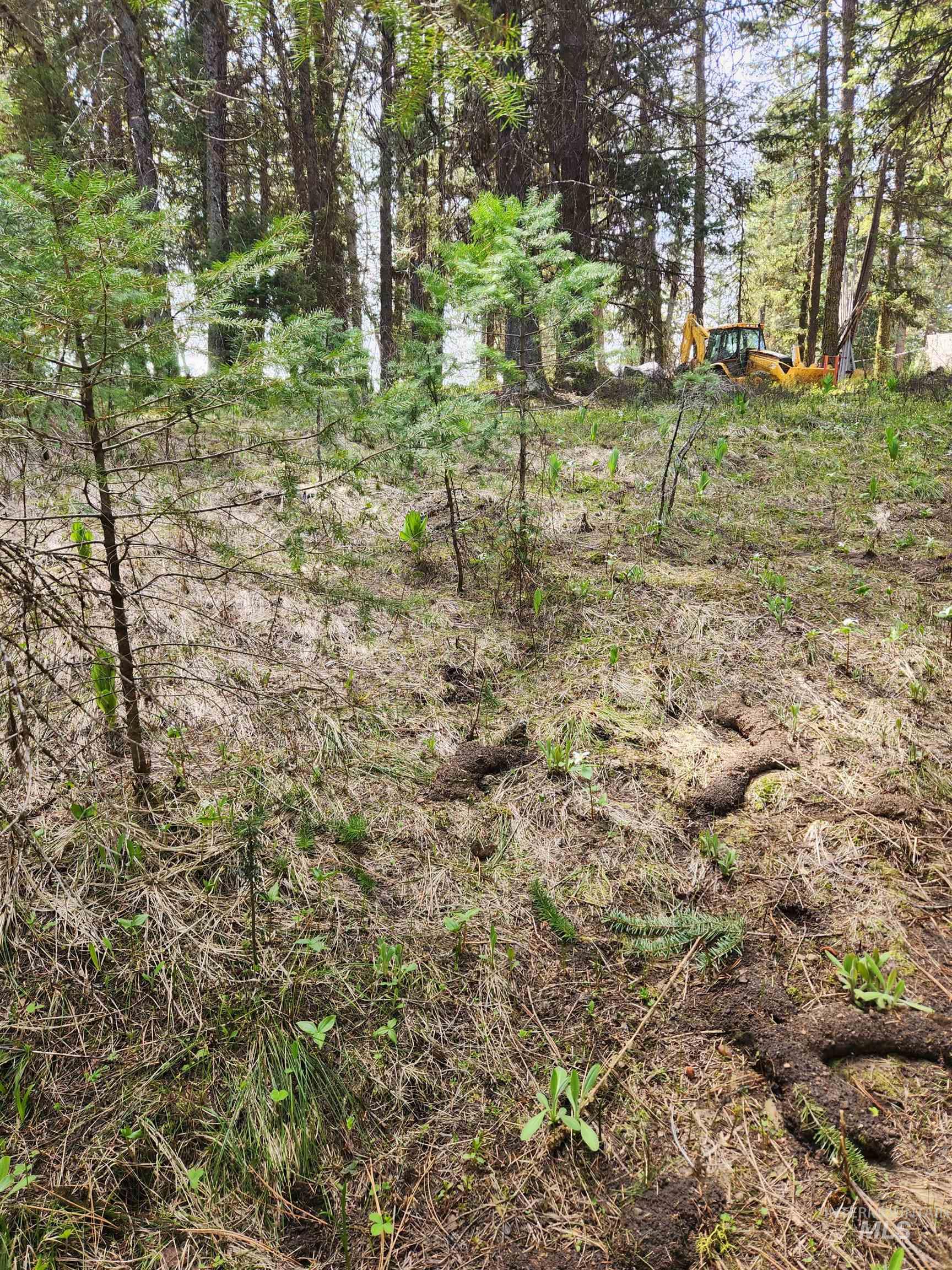 Tba Buckcamp Ln (lot 28) Property Photo 25