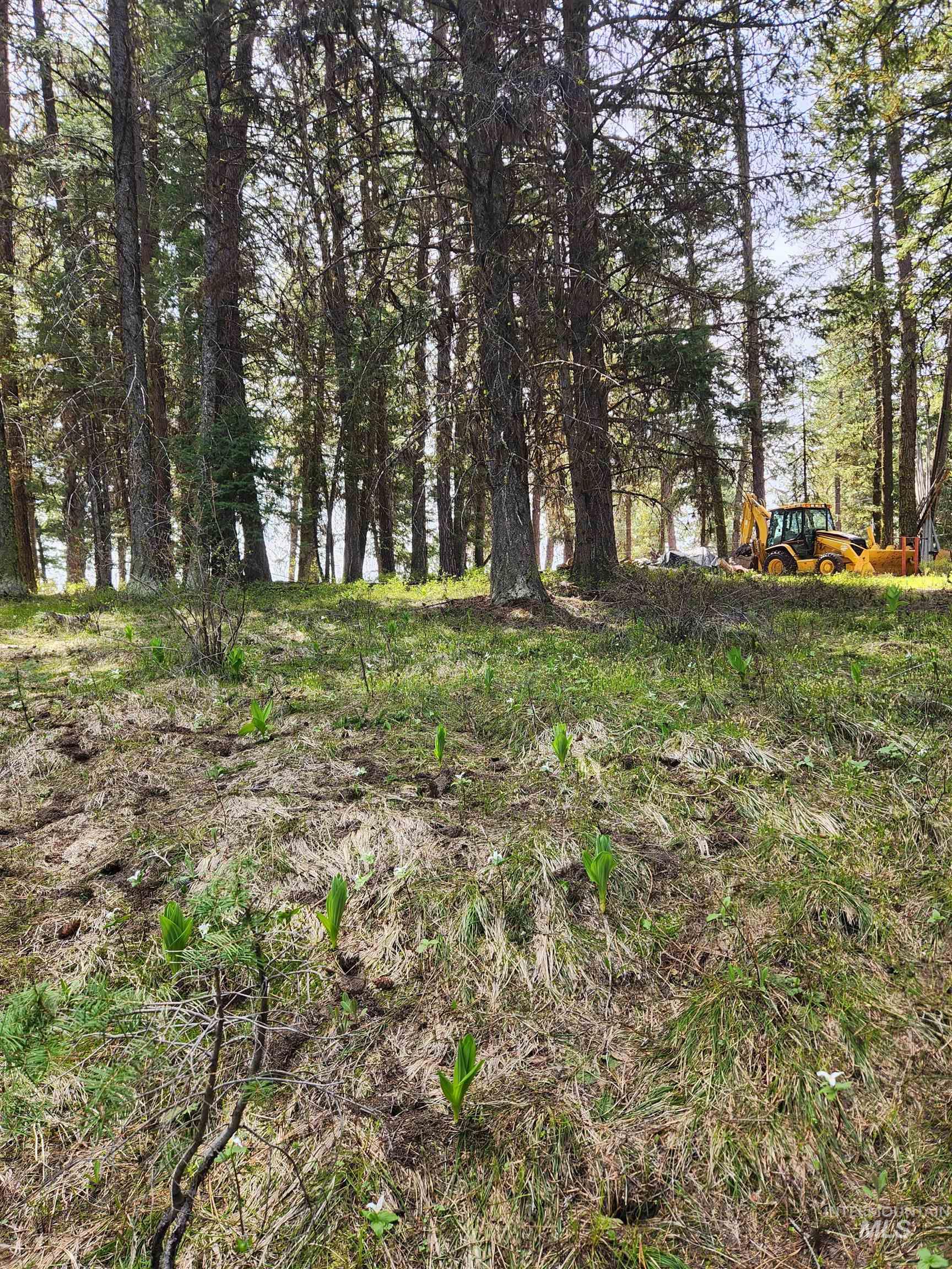 Tba Buckcamp Ln (lot 28) Property Photo 26