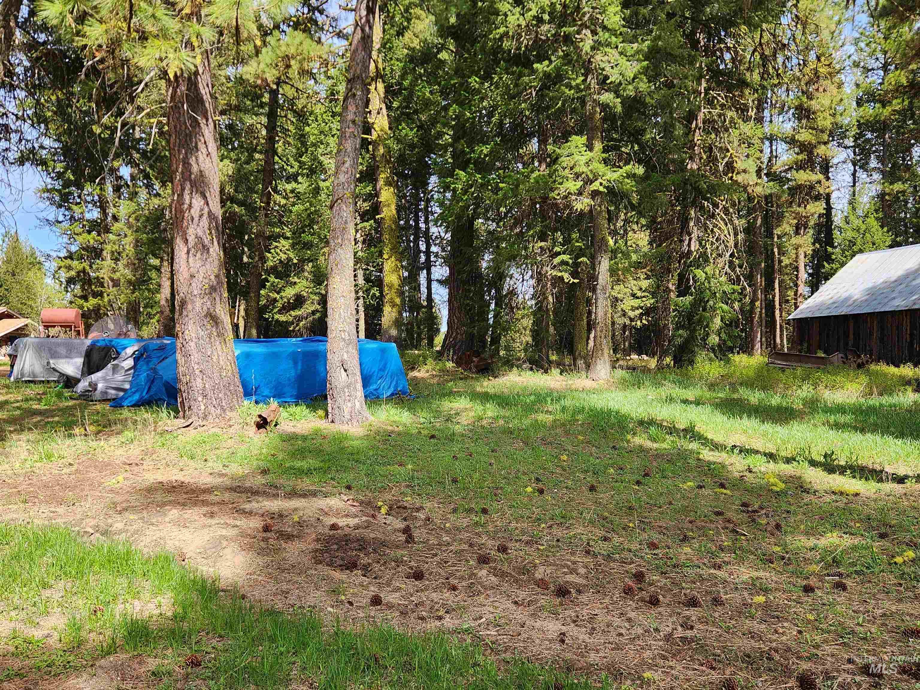 Tba Buckcamp Ln (lot 28) Property Photo 35