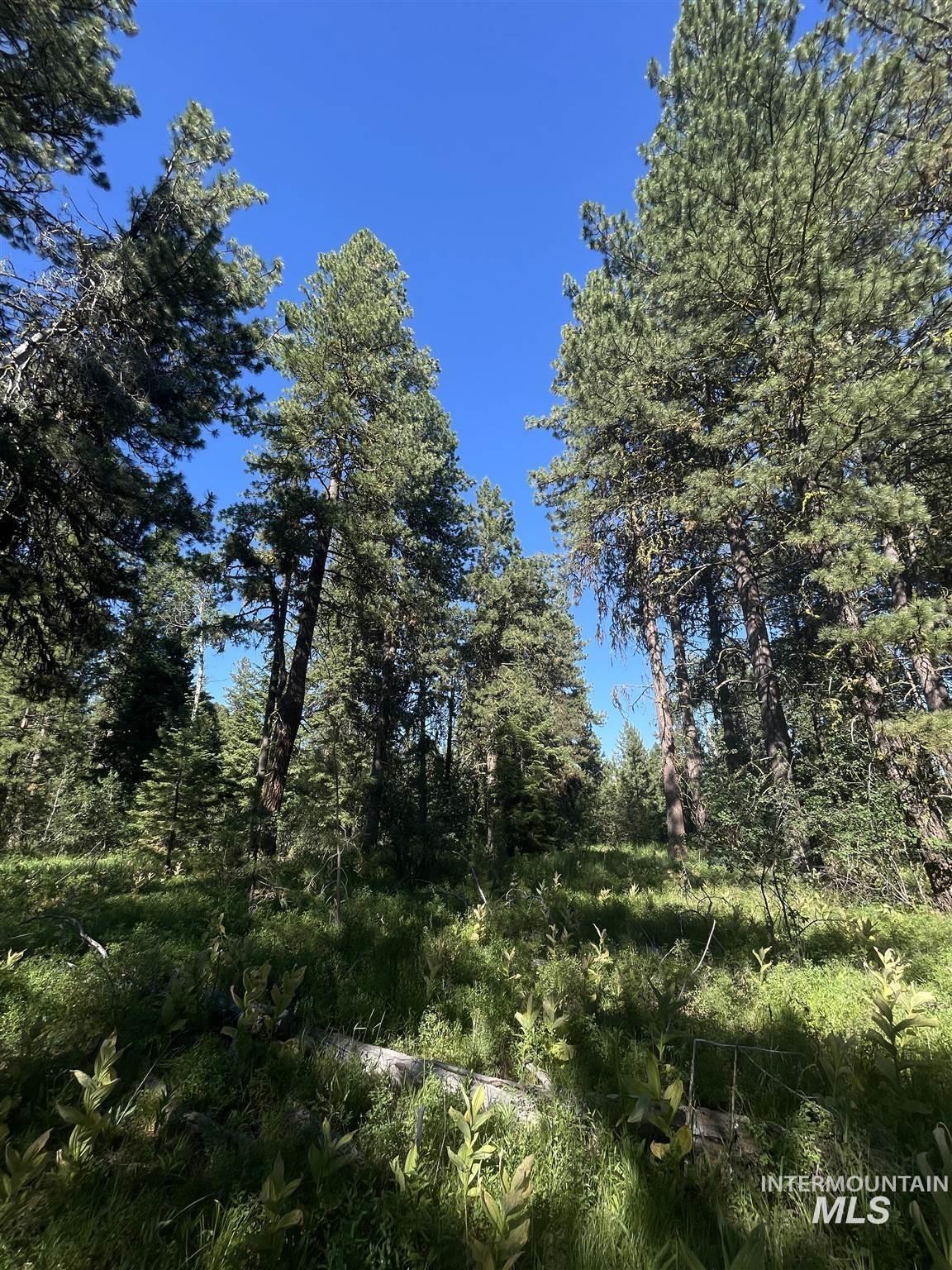 Tba Buckcamp Ln (lot 28) Property Photo 36