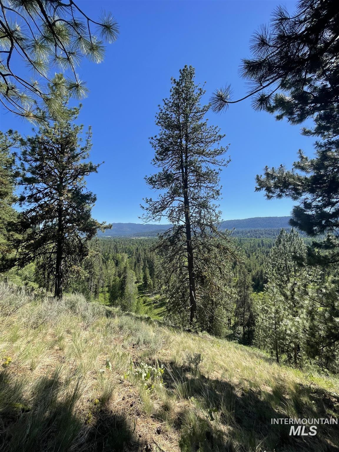 Tba Buckcamp Ln (lot 28) Property Photo 37