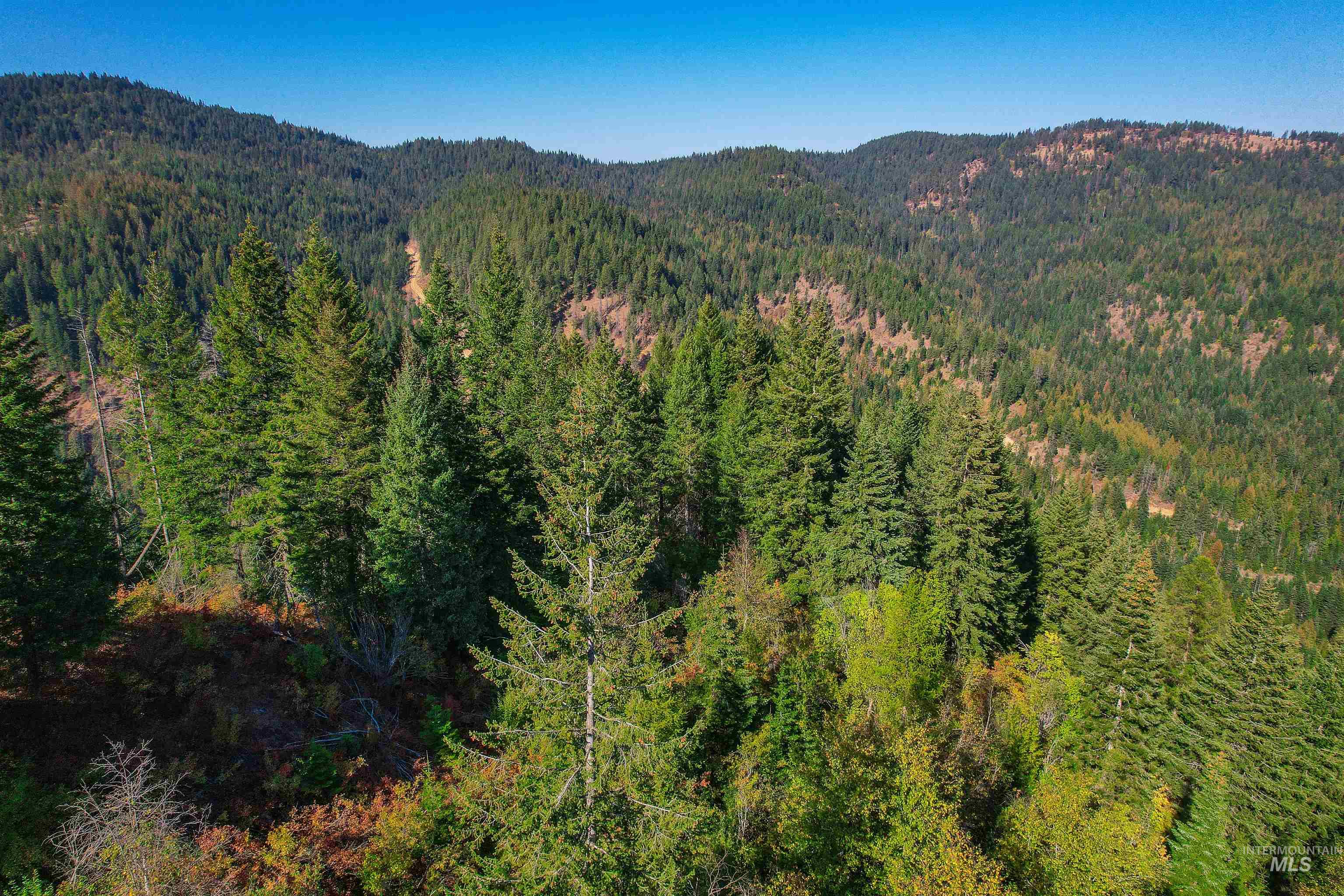 Nka Bodie Canyon Rd Property Photo 6