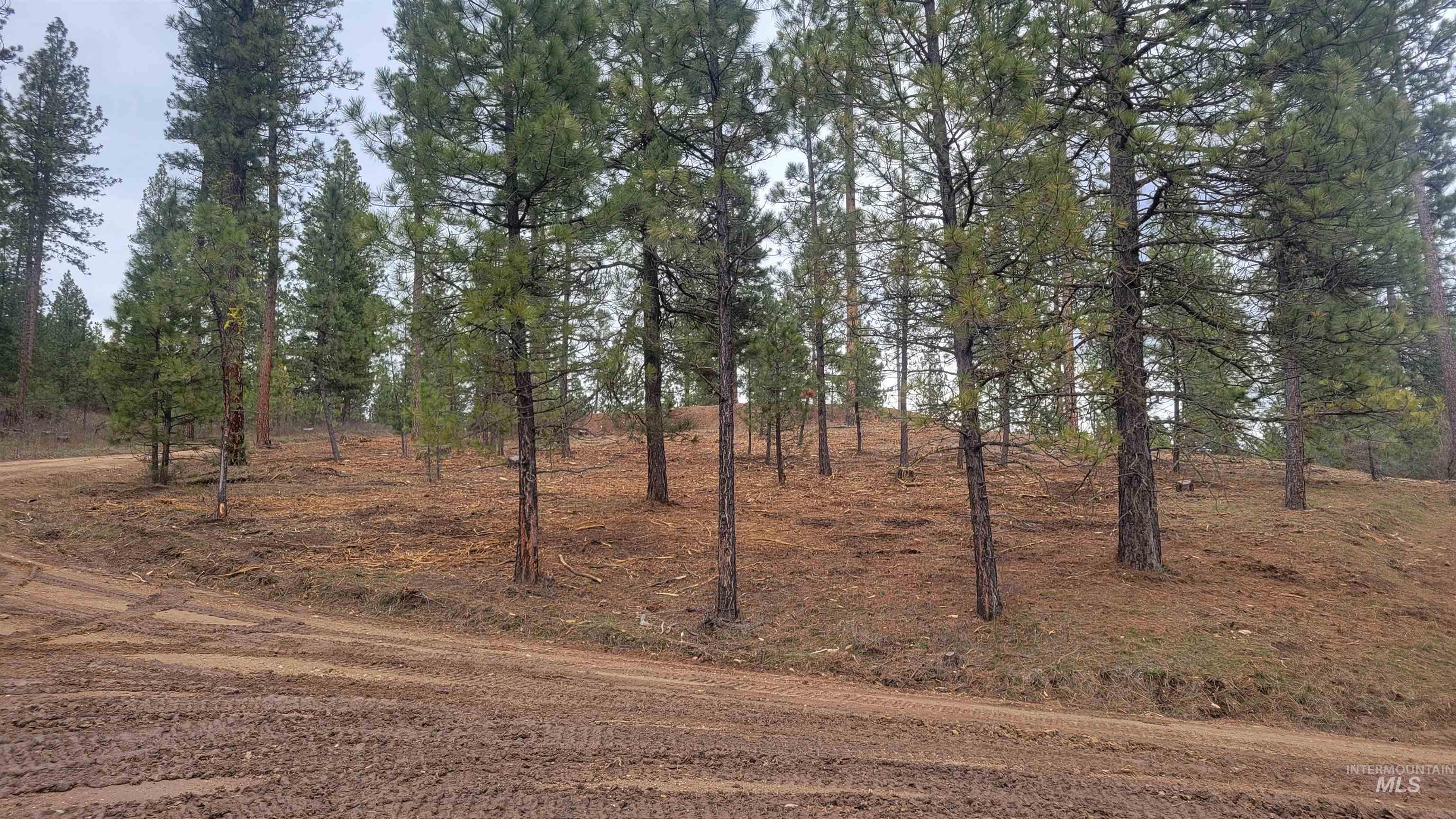 Talon Road Property Photo 3
