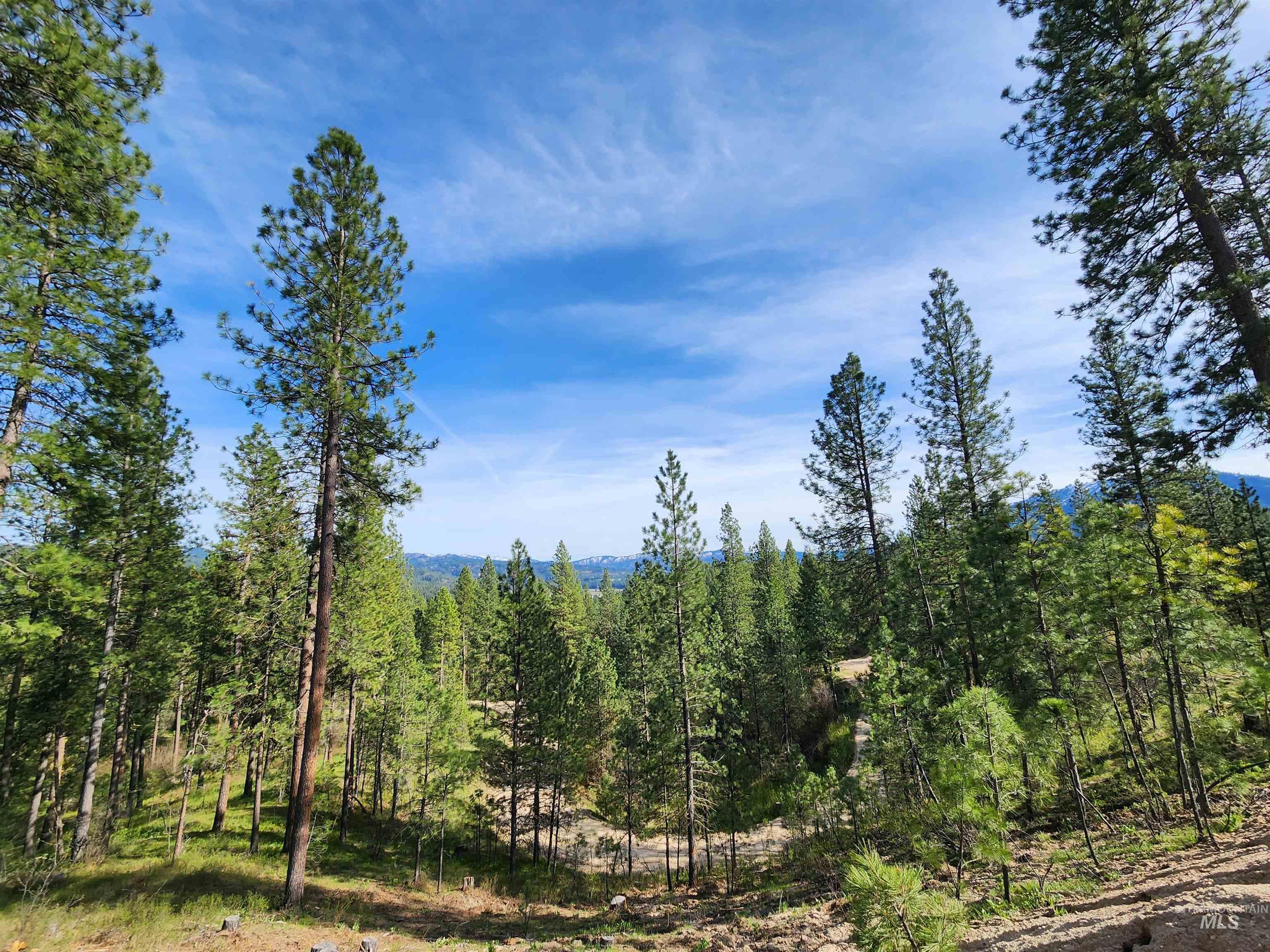 Talon Road Property Photo 10