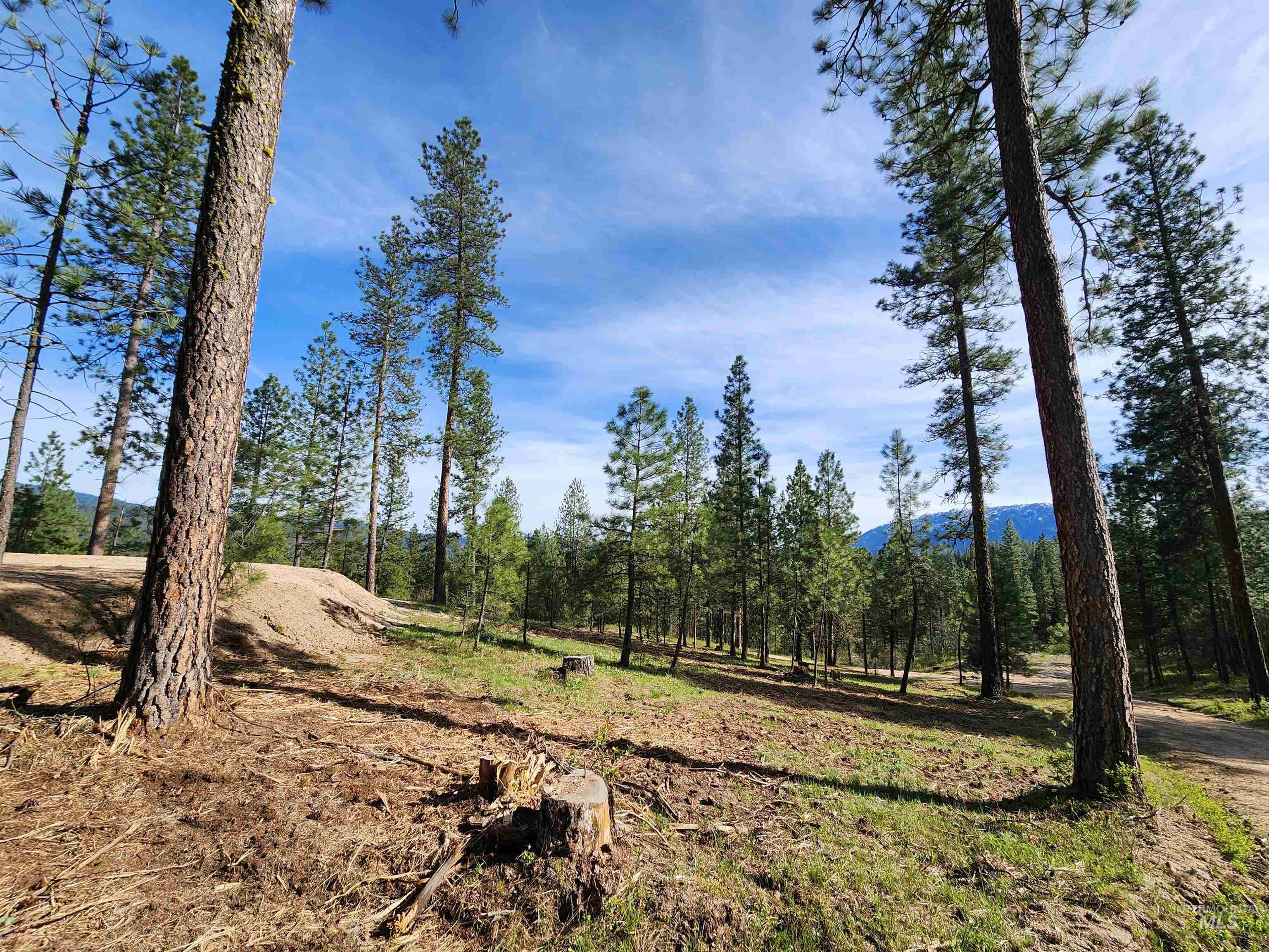 Talon Road Property Photo 17