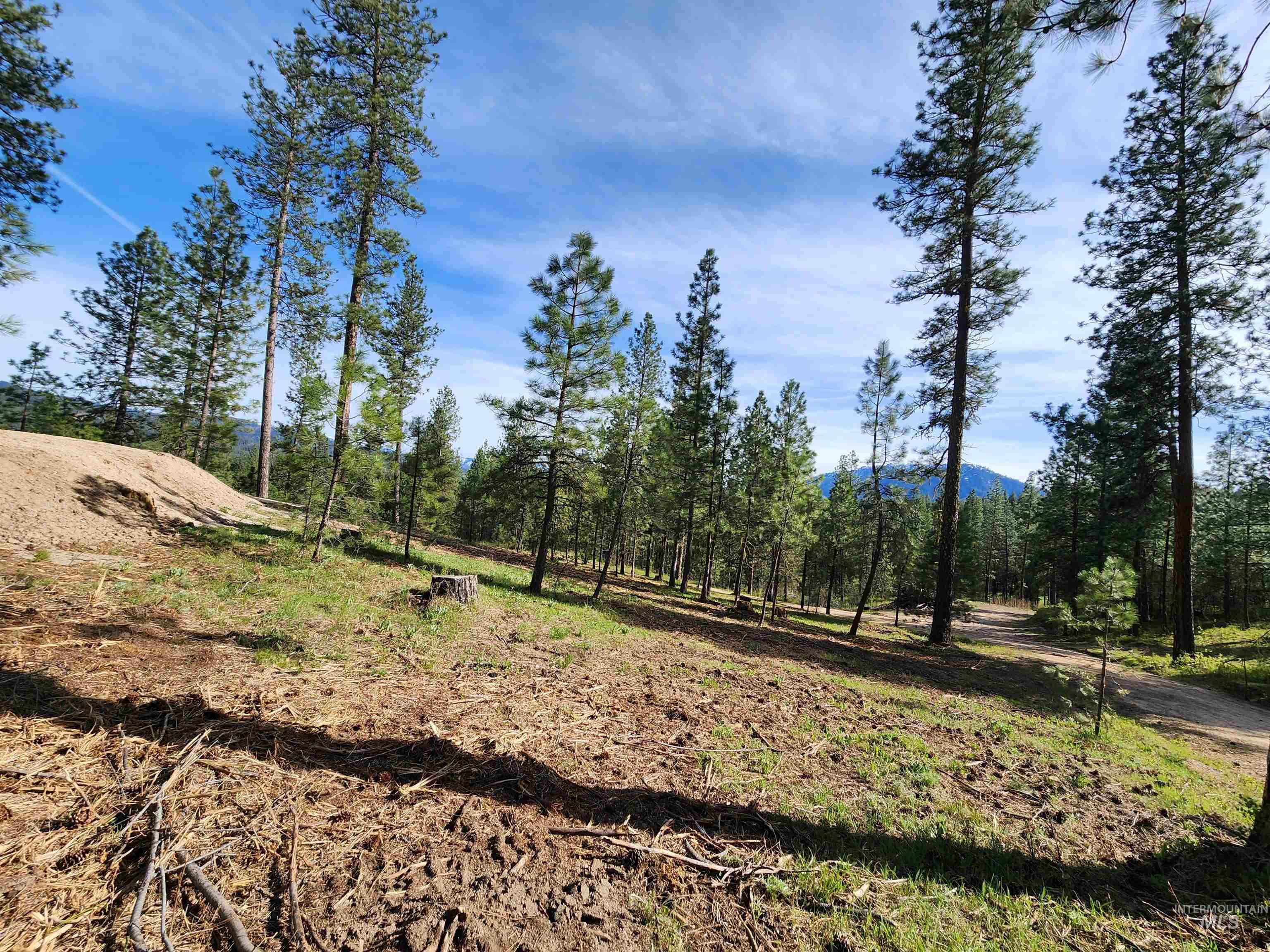 Talon Road Property Photo 18