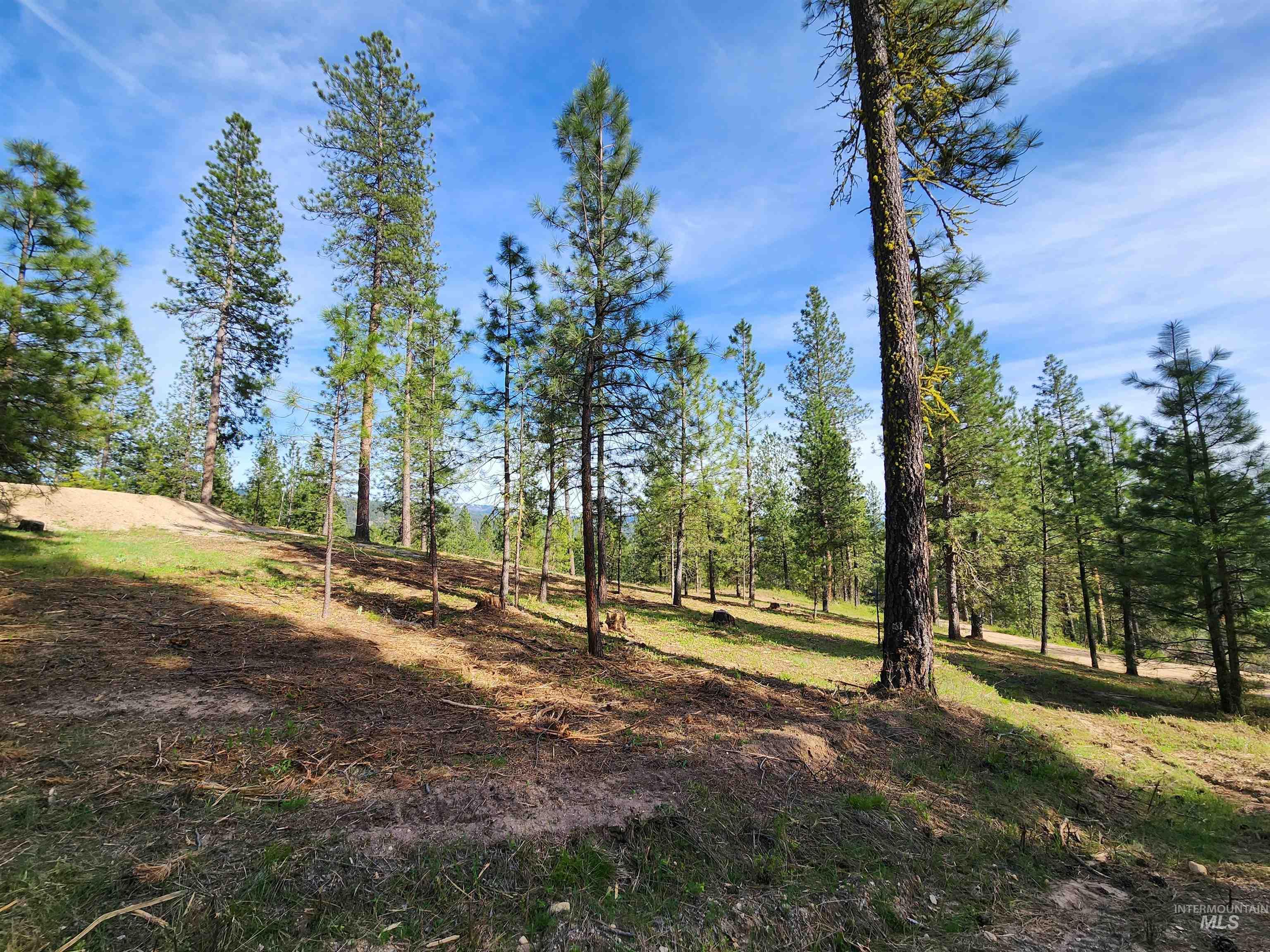 Talon Road Property Photo 19