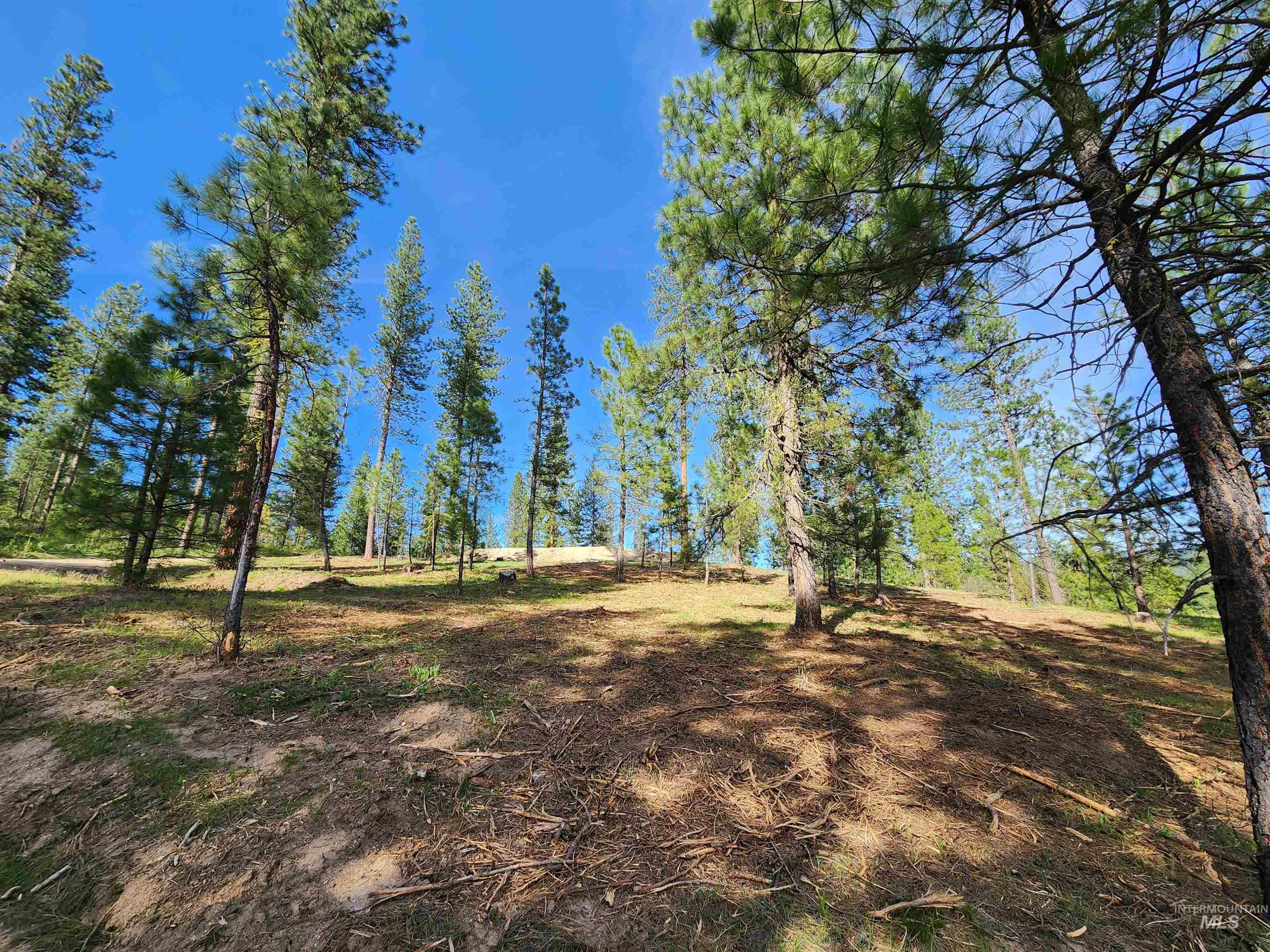 Talon Road Property Photo 20