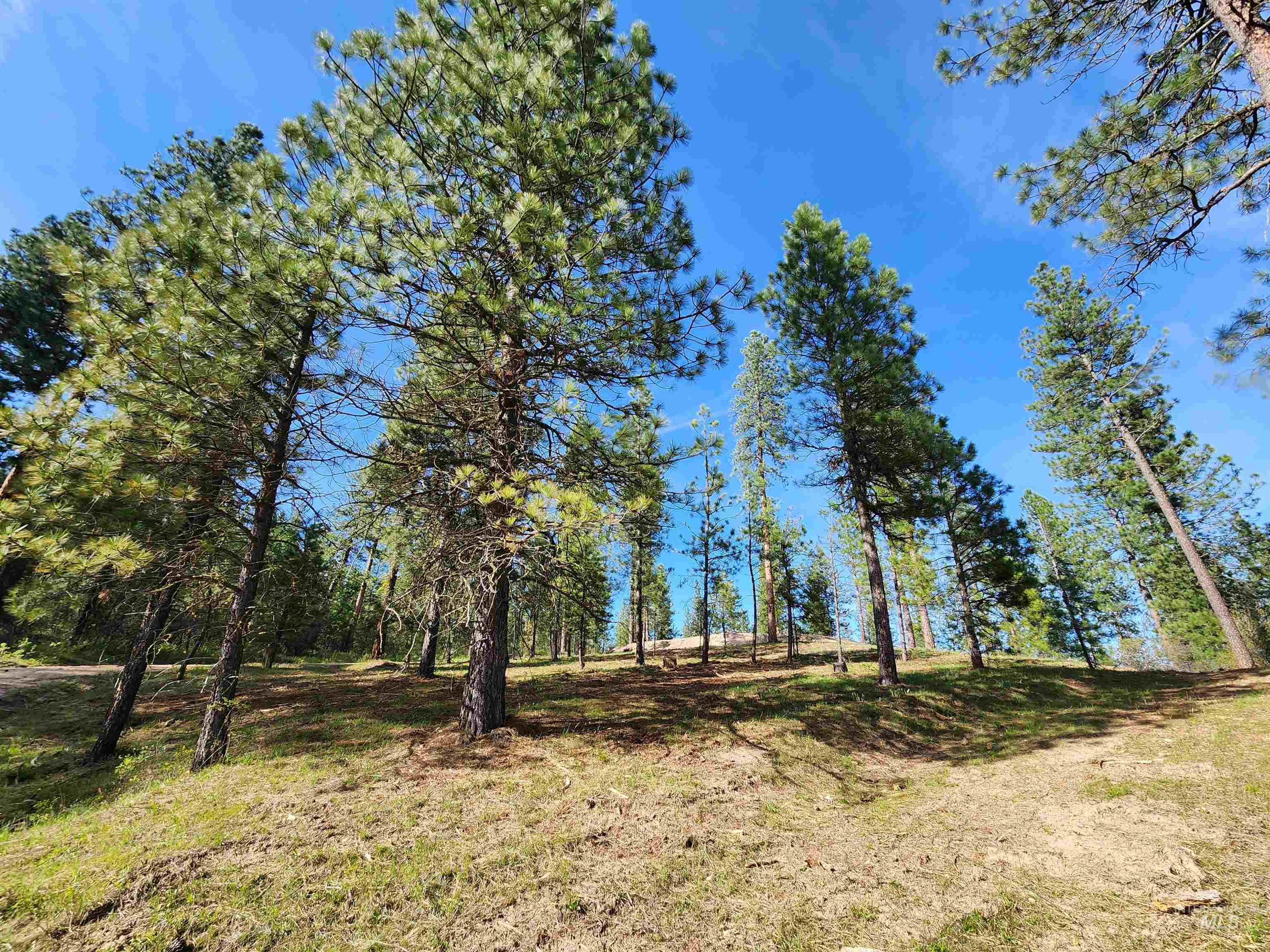 Talon Road Property Photo 21