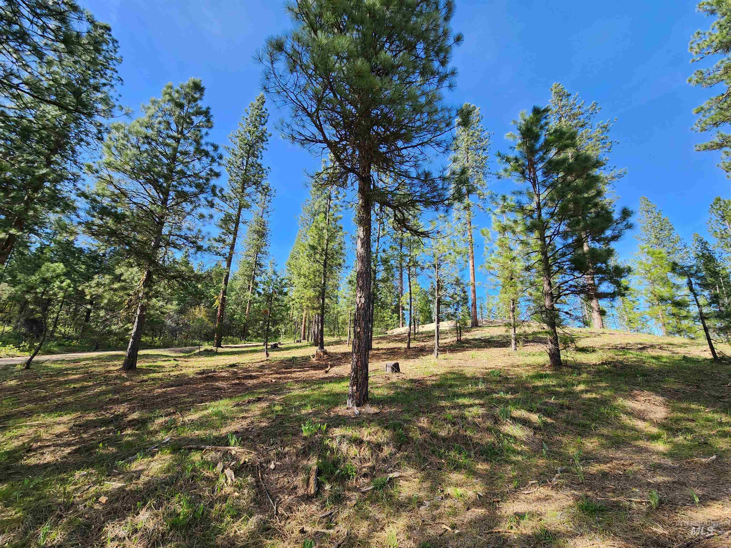 Talon Road Property Photo 22
