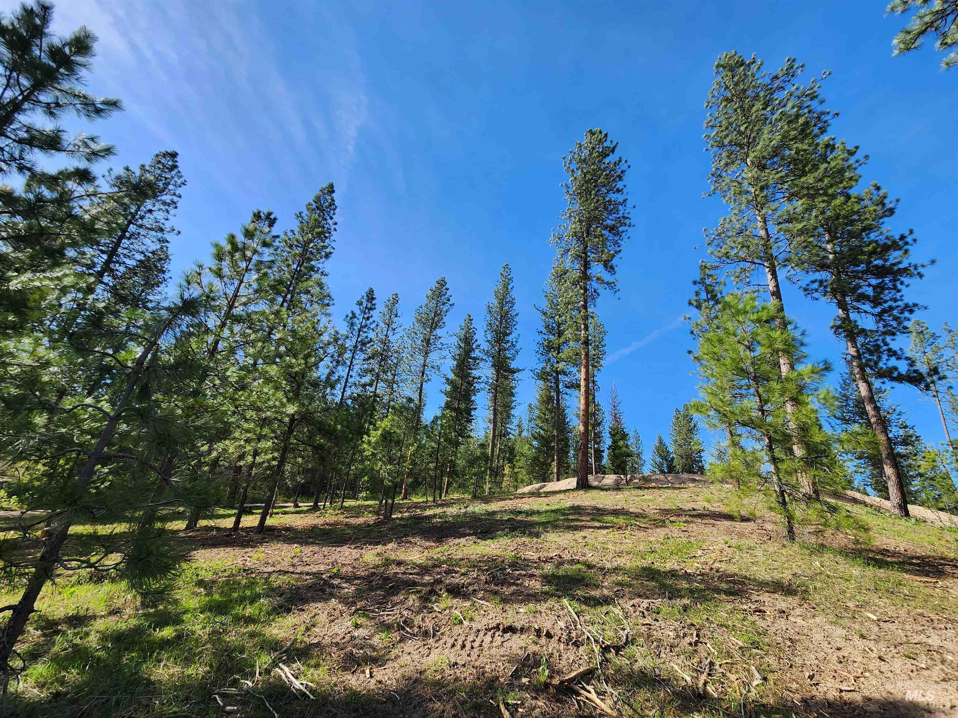 Talon Road Property Photo 23