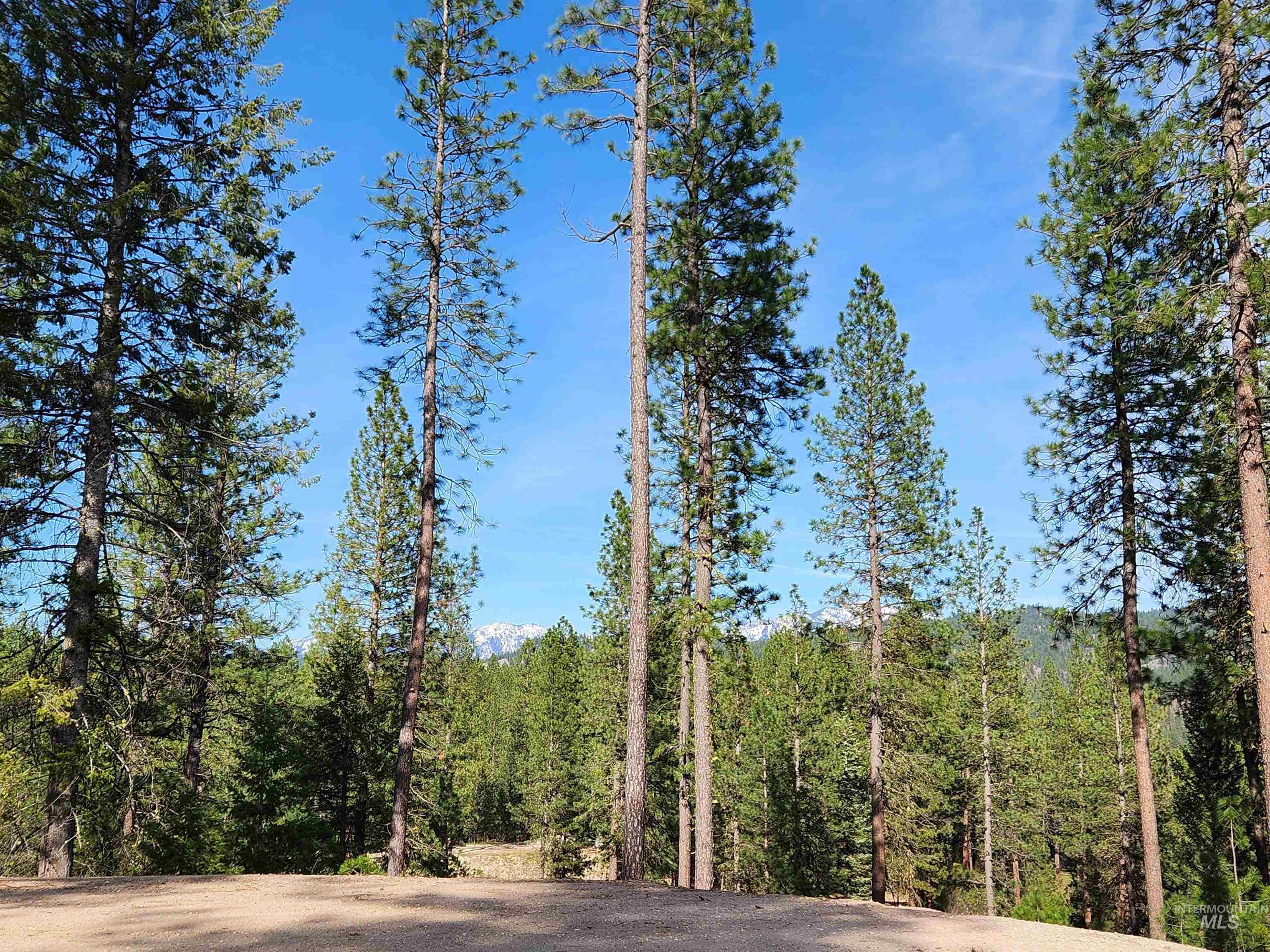 Talon Road Property Photo 24