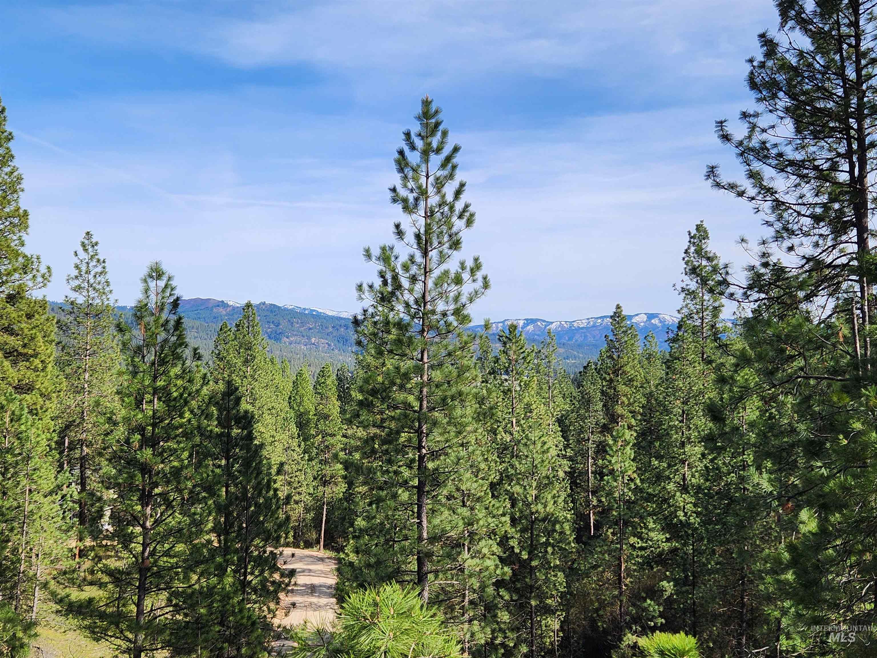 Talon Road Property Photo 25