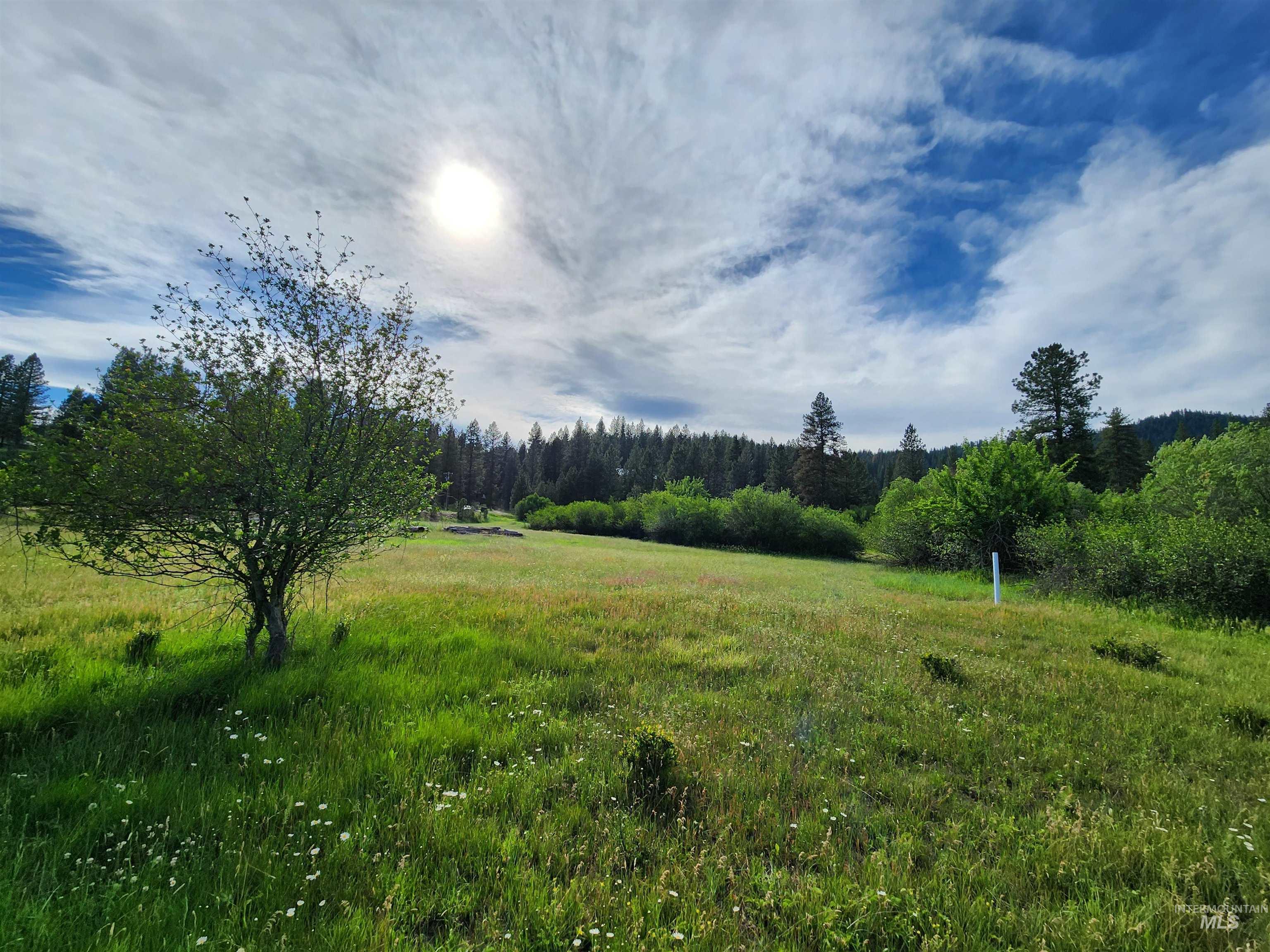 Lot 1 Leo Court Property Photo 5