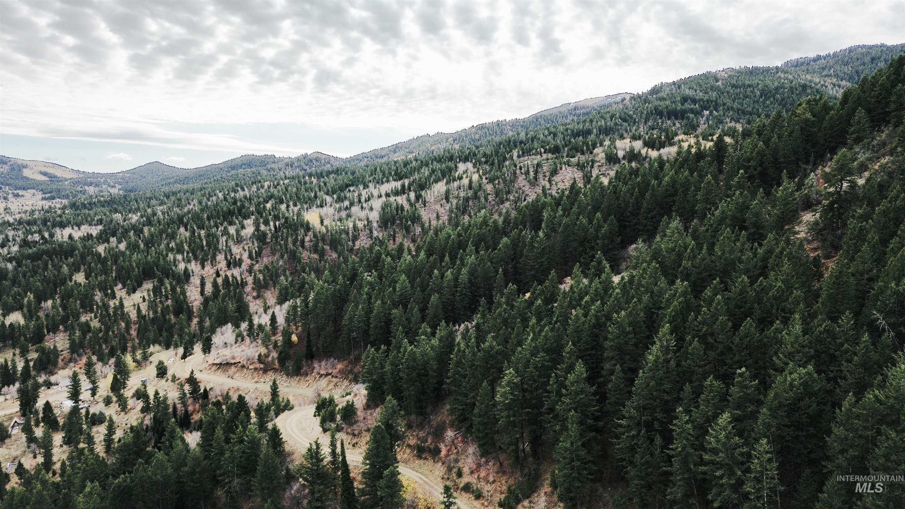 Tbd Baldy Mountain Rd Property Photo 1