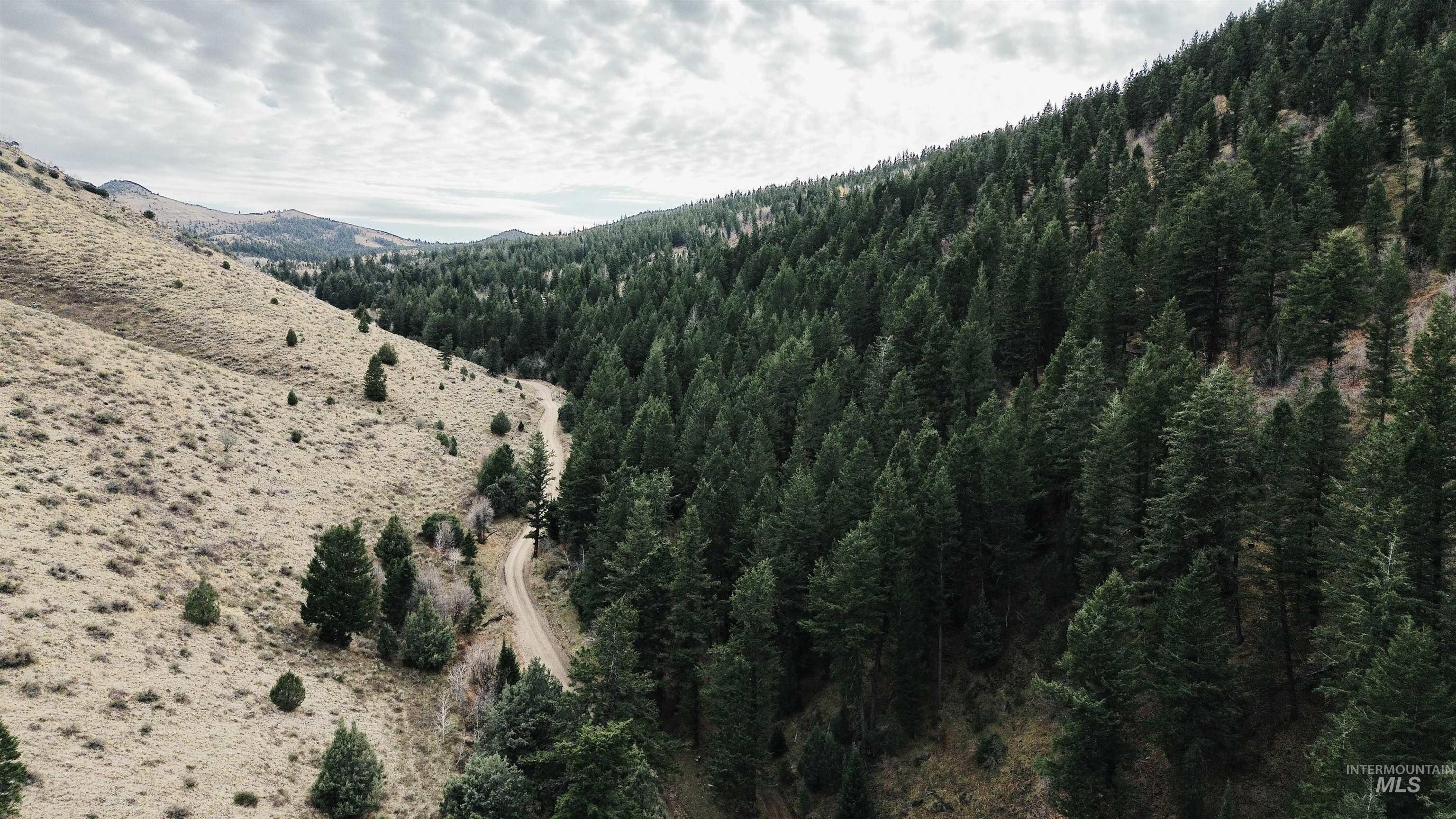 Tbd Baldy Mountain Rd Property Photo 2